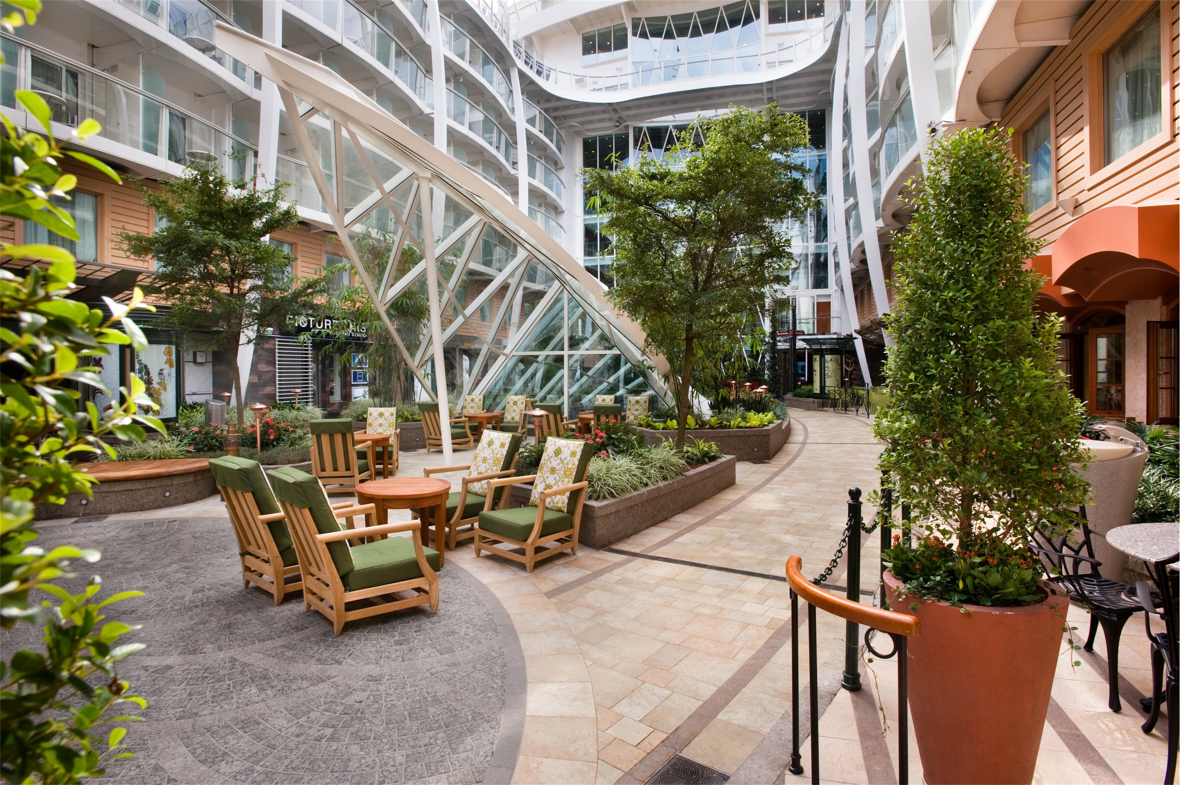 Harmony of the Seas - Trellis Bar