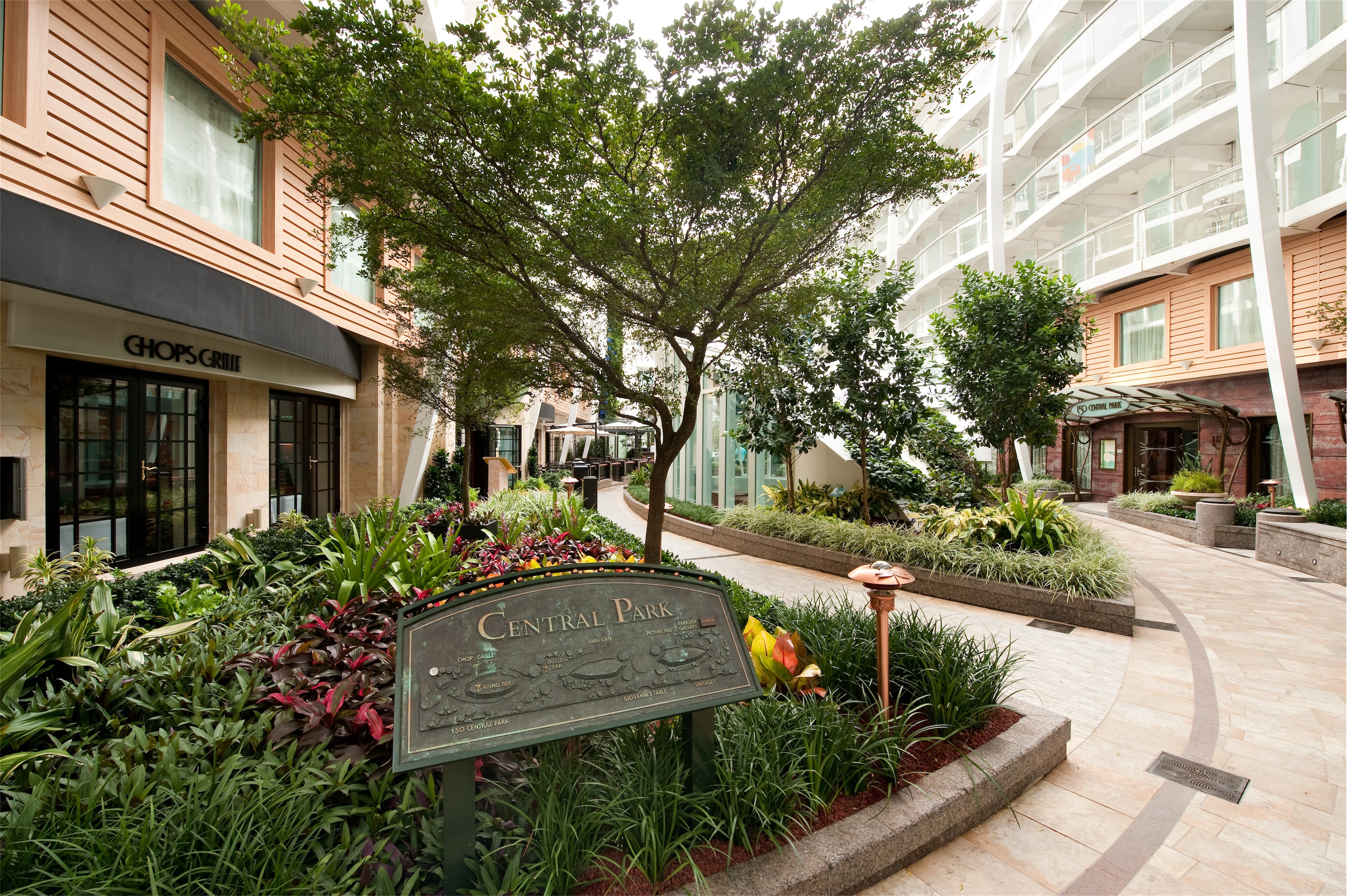 Harmony of the Seas - Trellis Bar