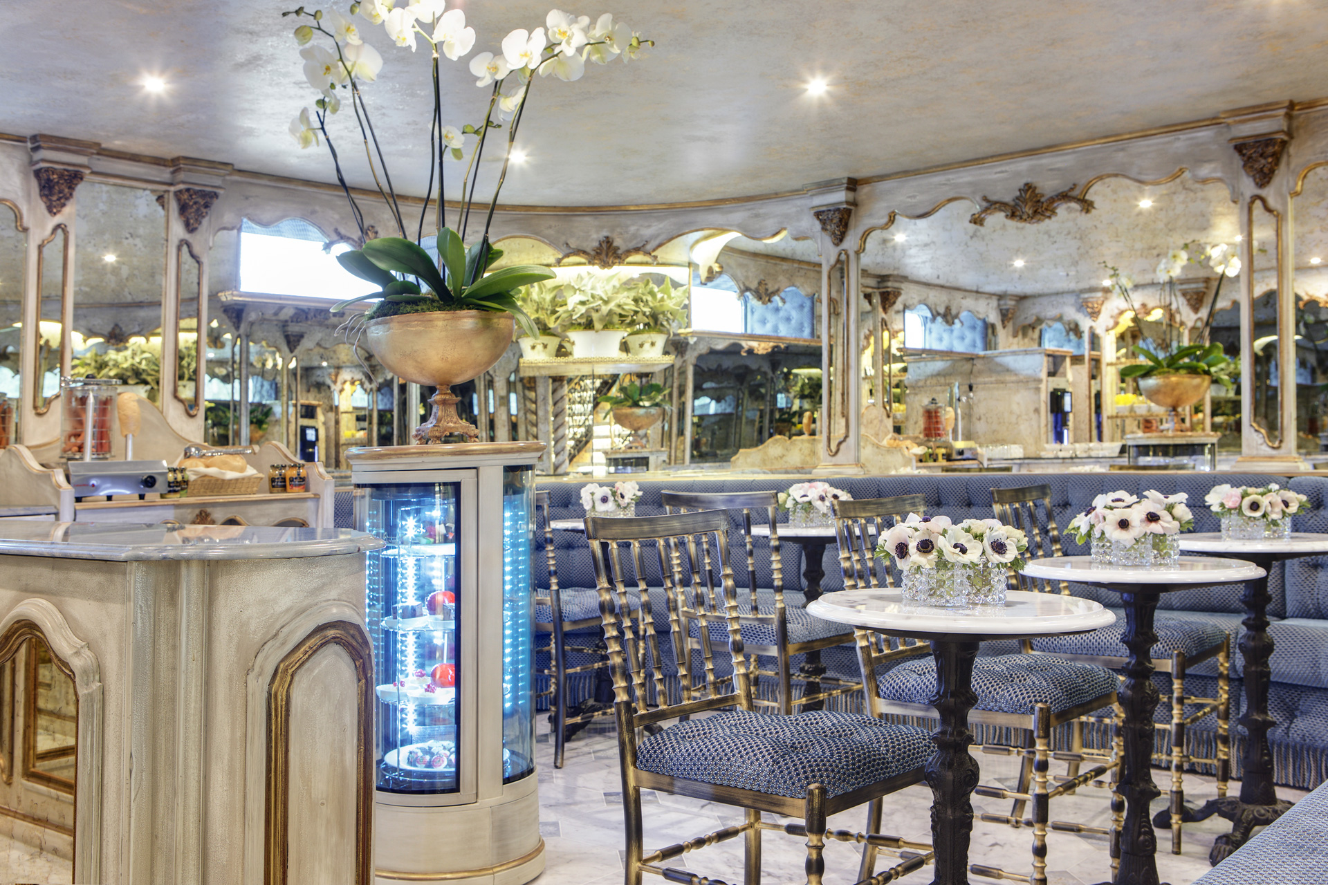 S.S. Maria Theresa - Viennese Café