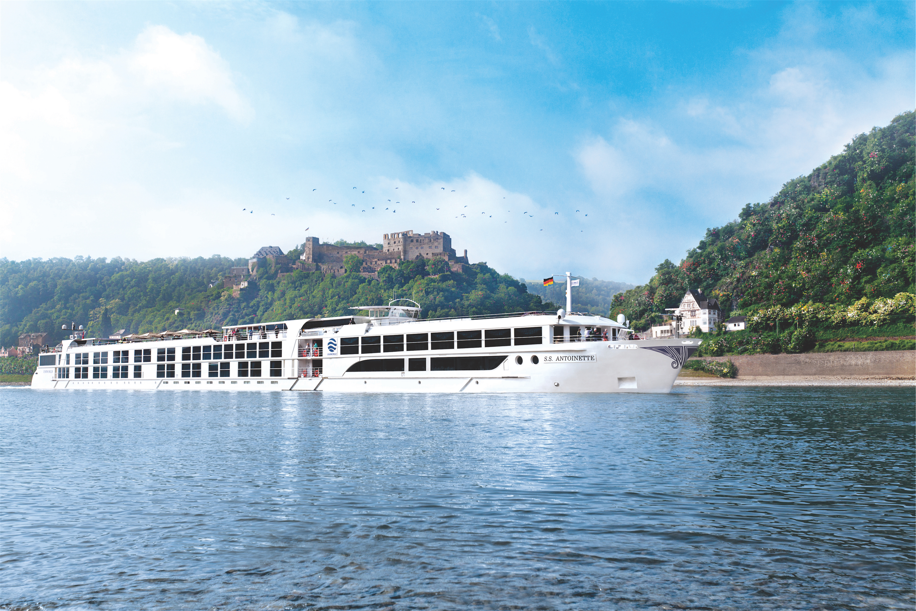 S.s. antoinette