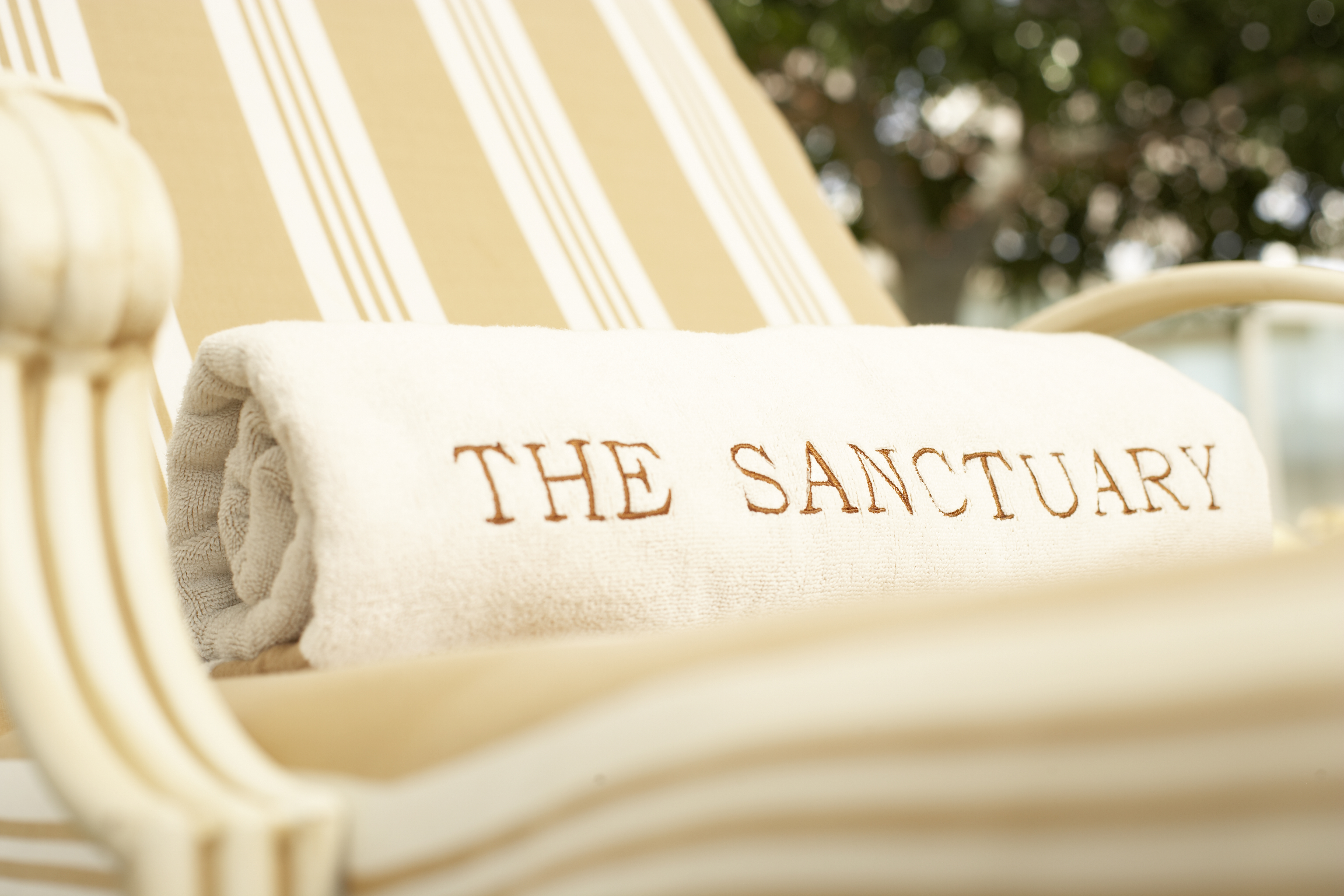 Diamond Princess - The Sanctuary