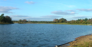 Hatchet Pond.JPG