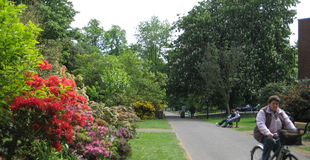 Palmerston Park.JPG