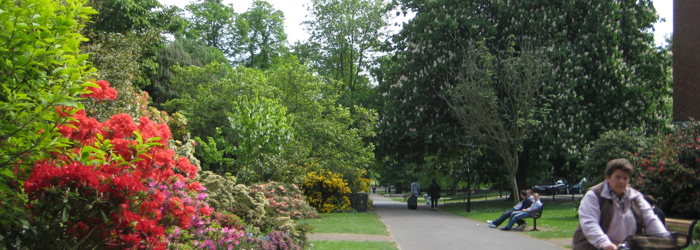 Palmerston Park.JPG