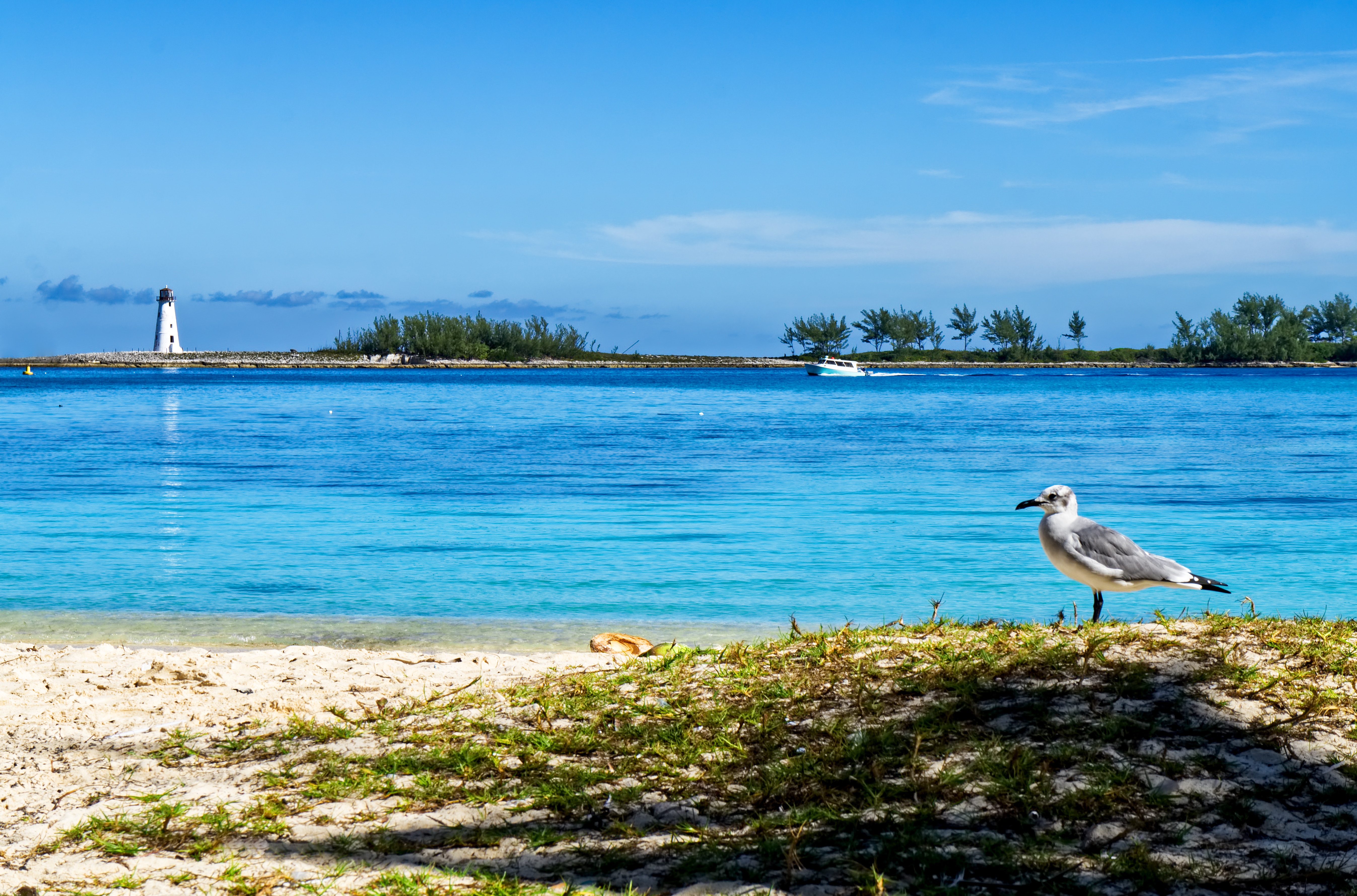 4 Night Bahamas & Perfect Day Cruise