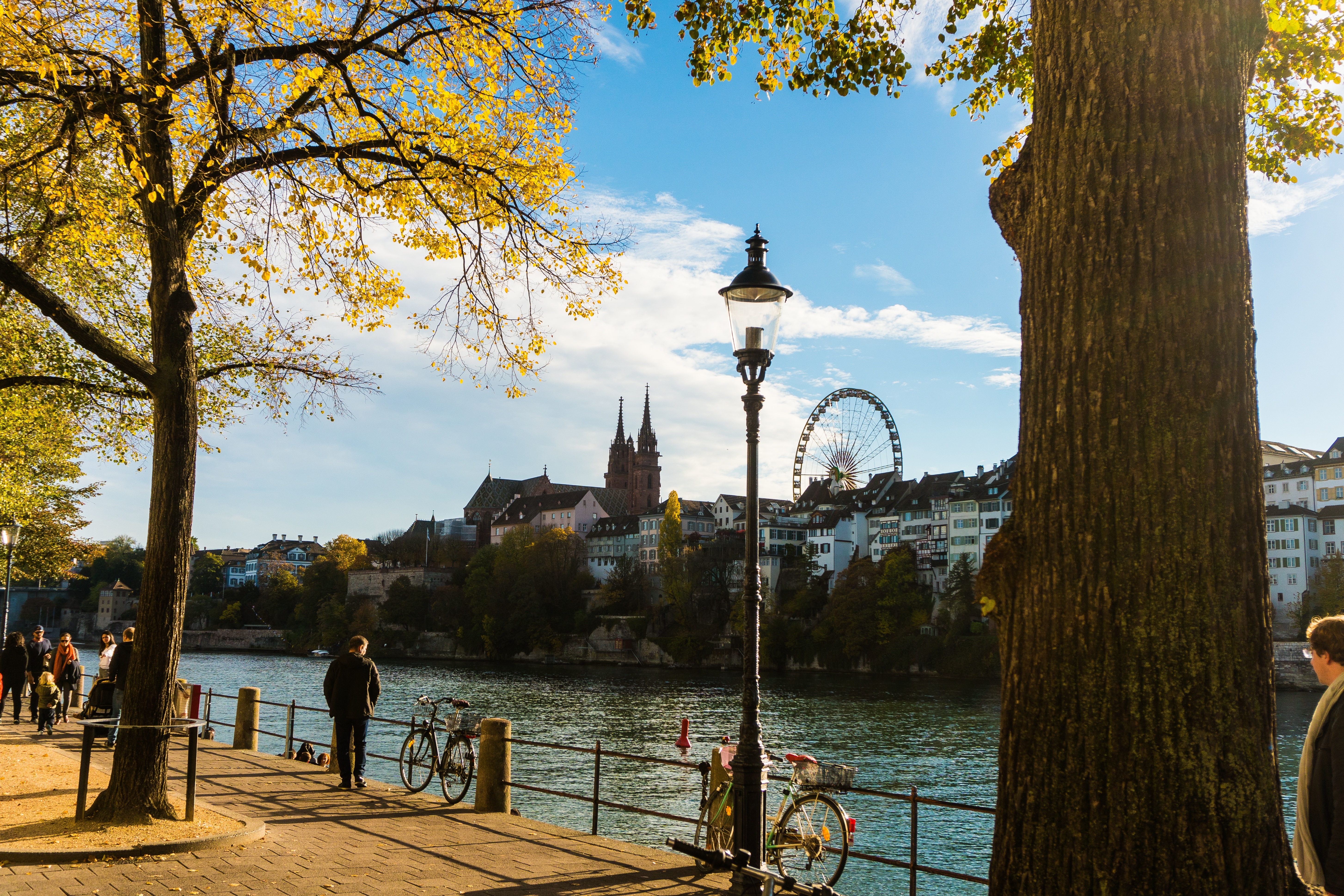 Remarkable Rhine & Historic Holland