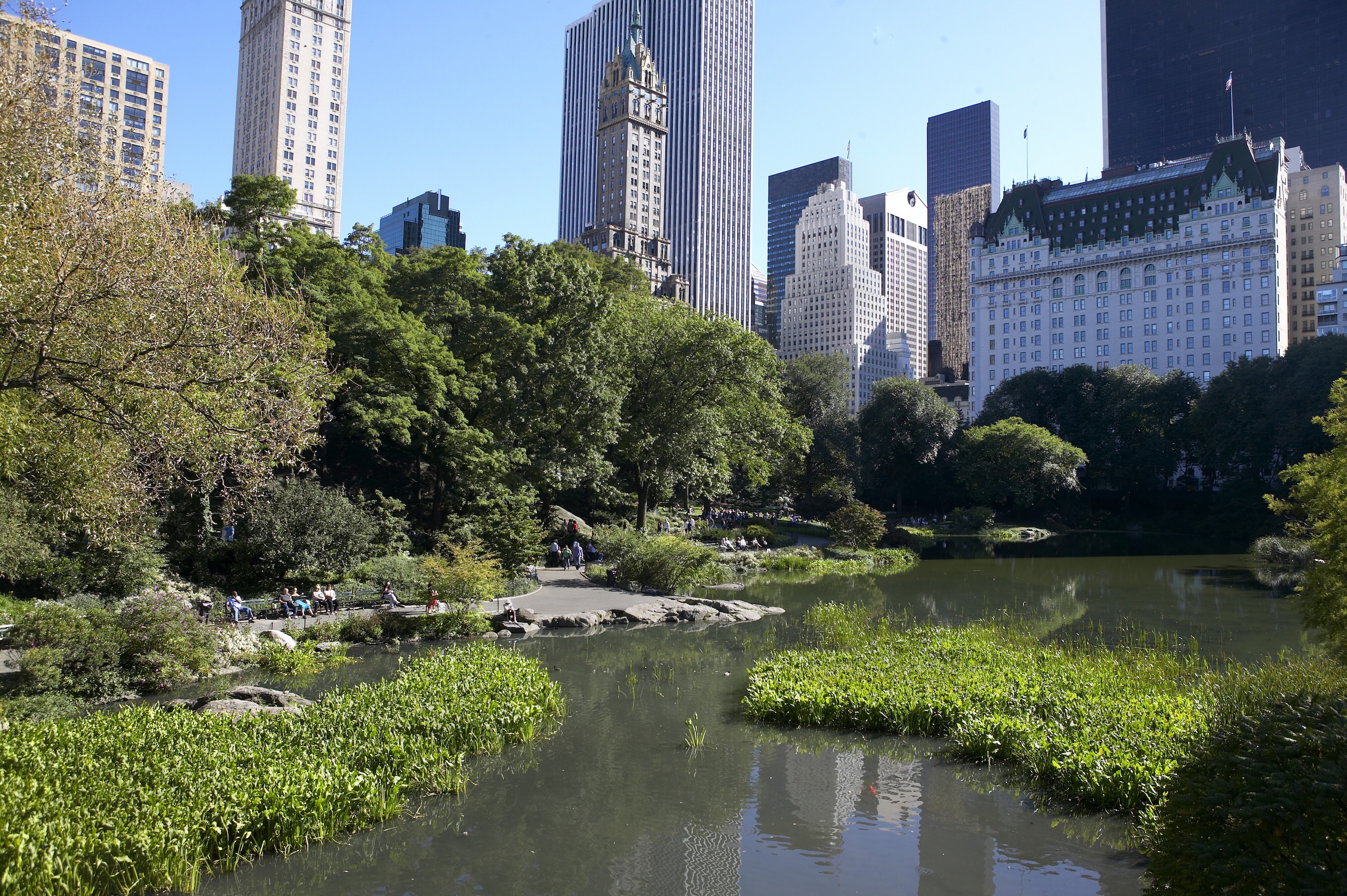 Myrna Suarez, NYC & Company.jpg, New York