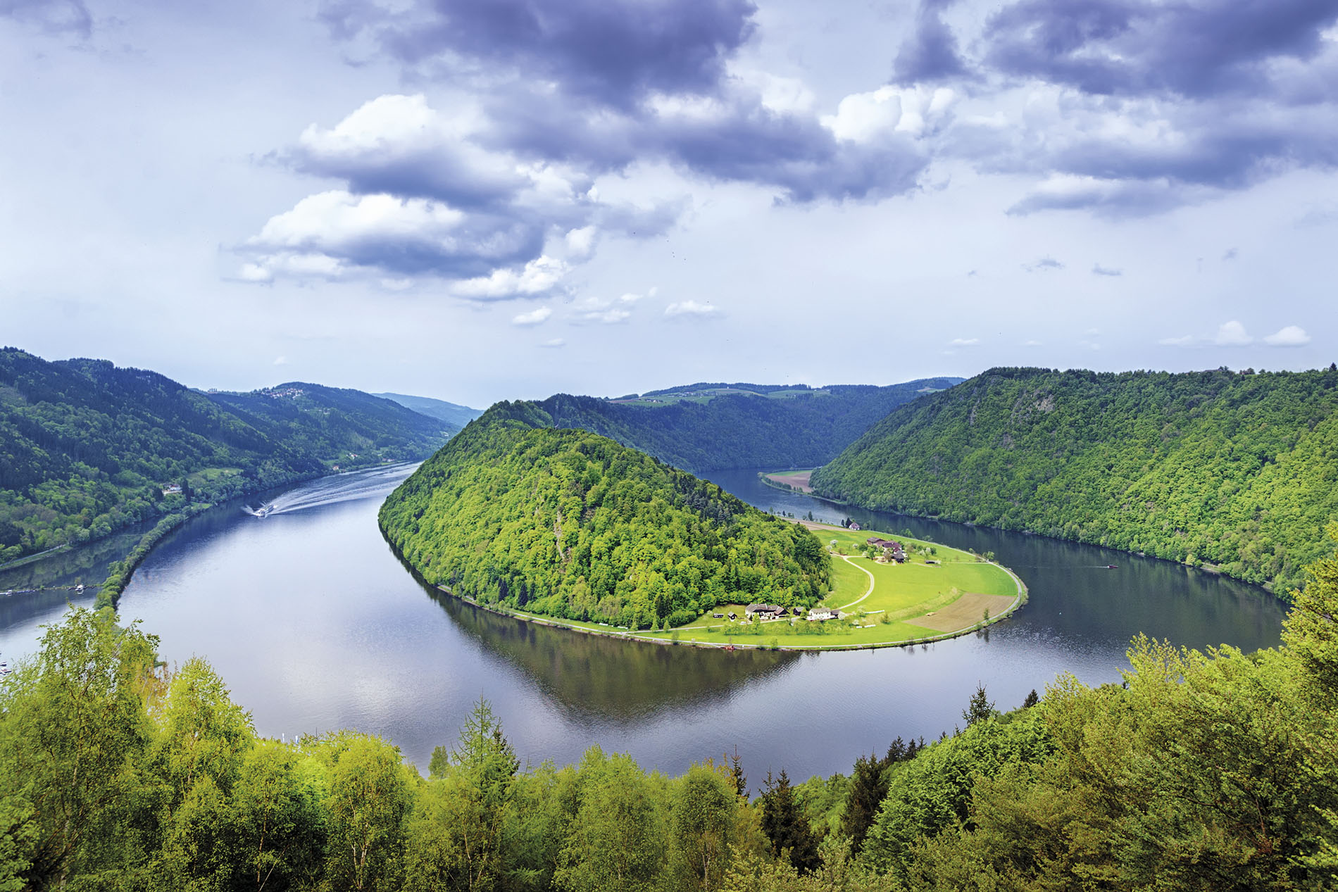 Vineyards & Palaces along the Danube