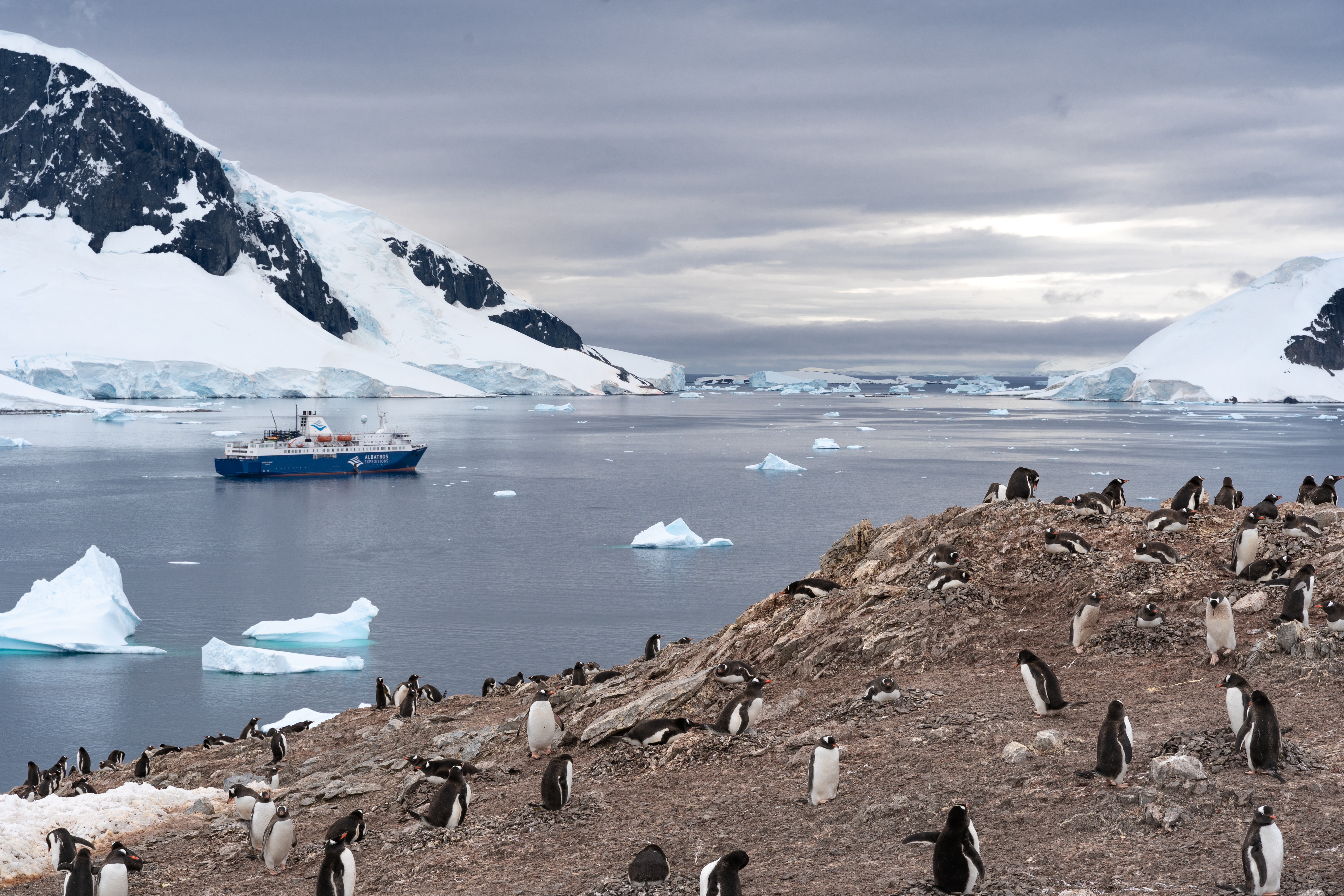 Spirit of Antarctica