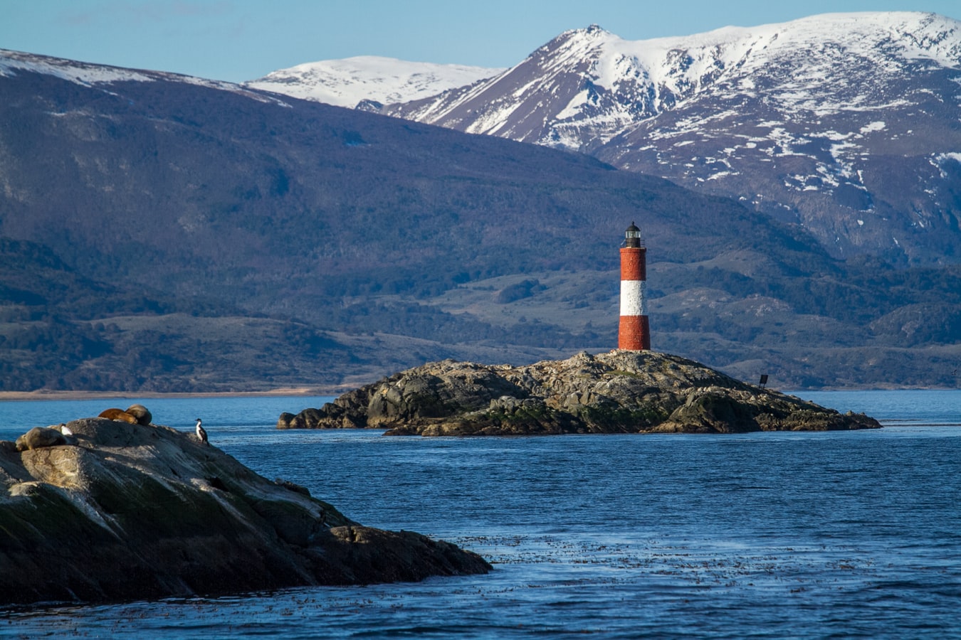 Antarctica Active: All Inclusive Activities