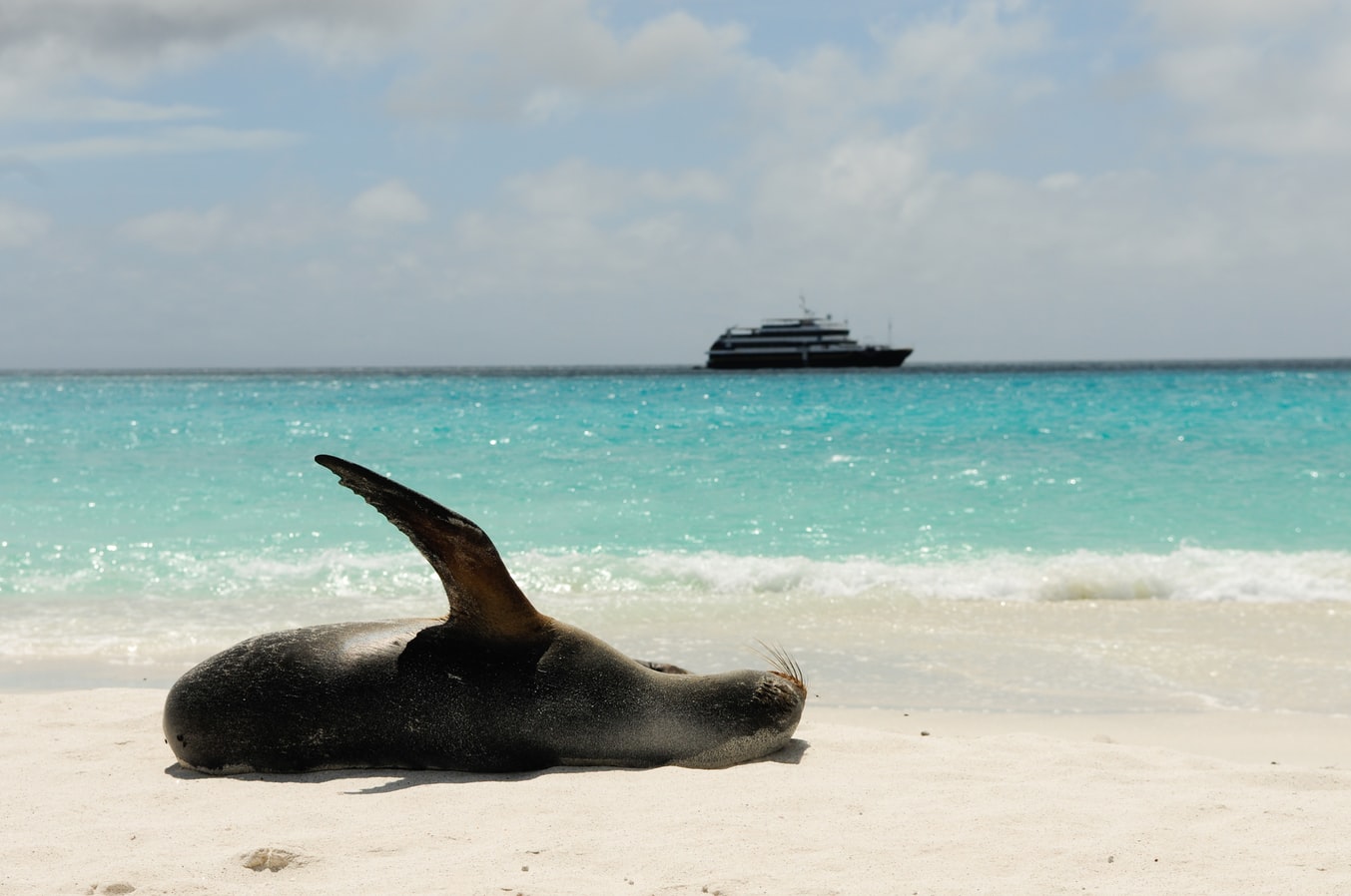 Galápagos Islands - Nature and Wildlife Expedition Cruise | Northern Route