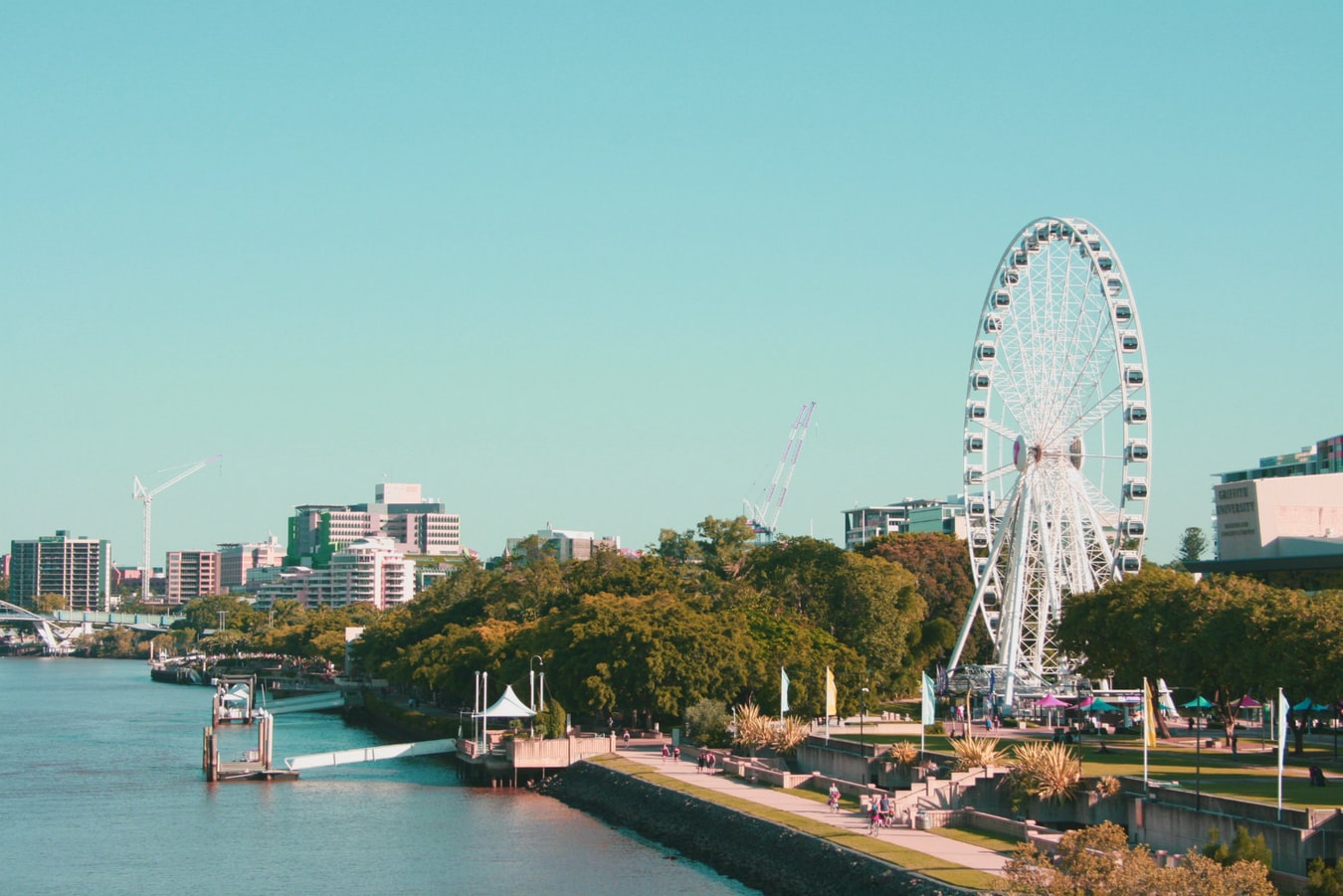 photo credit belongs to Alice Duffield, Brisbane