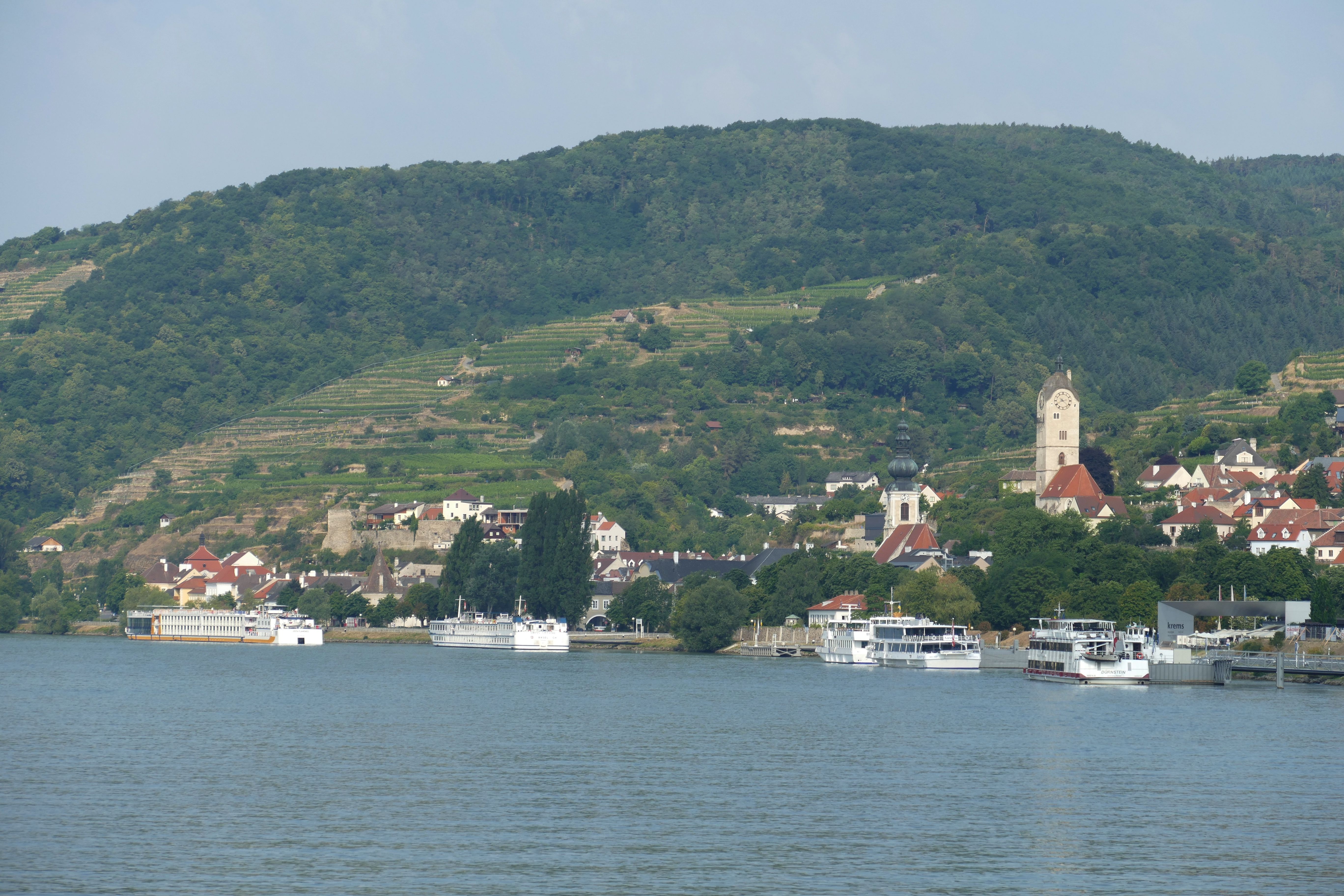 Falco, Krems