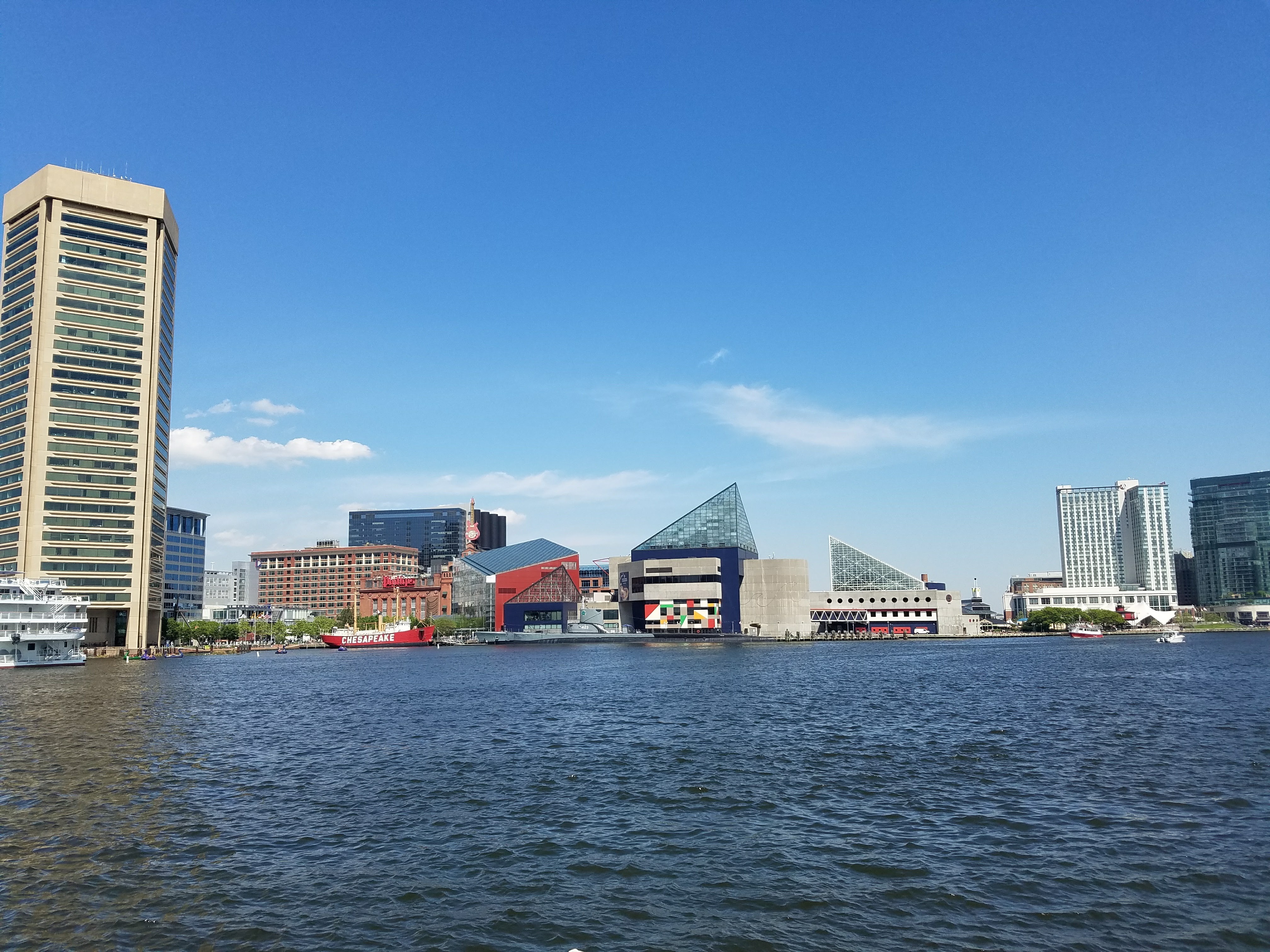 Avery Krouse, Baltimore