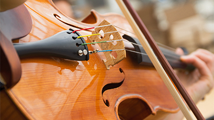 Viking Resident Musicians