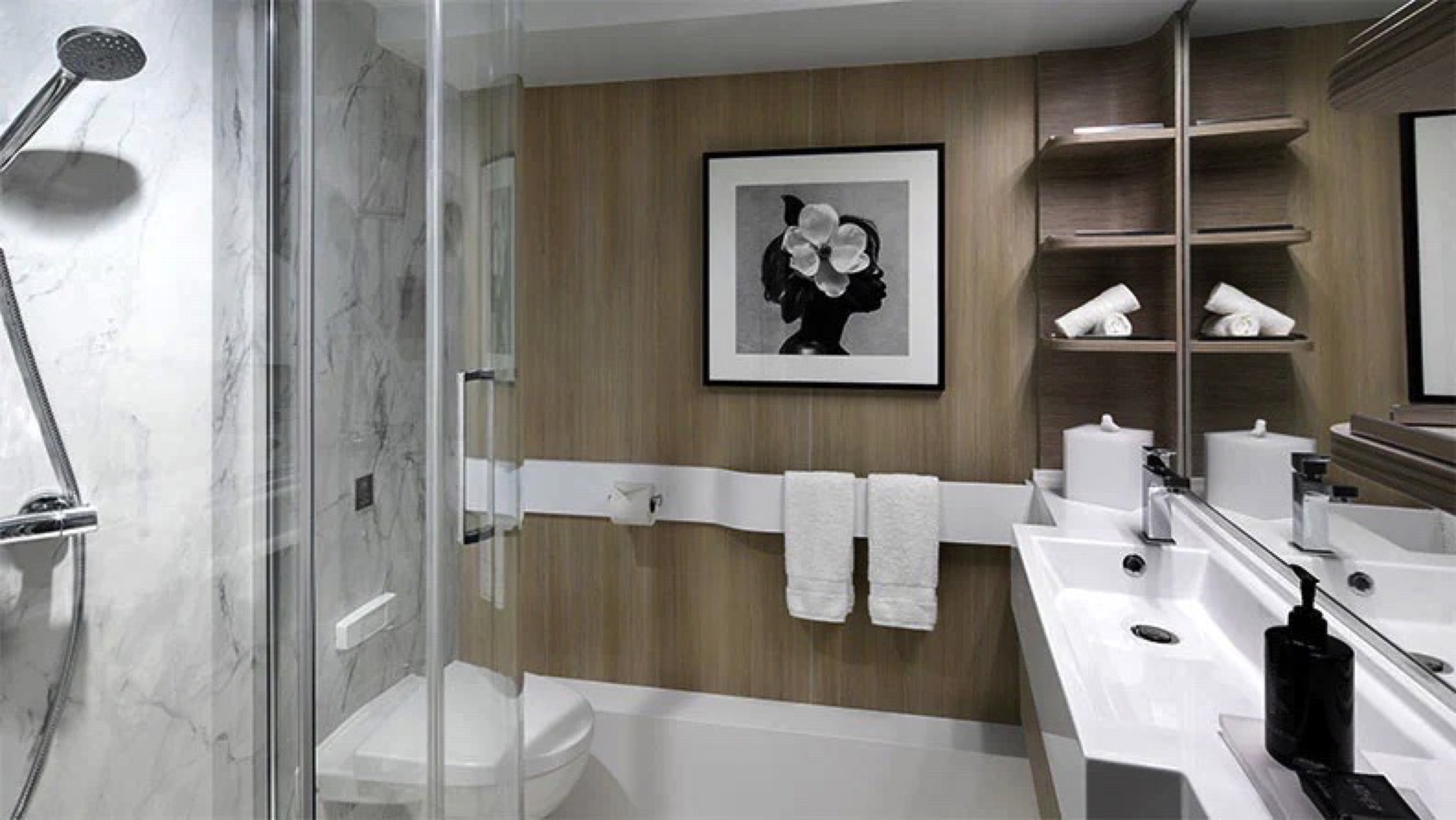 Panoramic Ocean View Stateroom