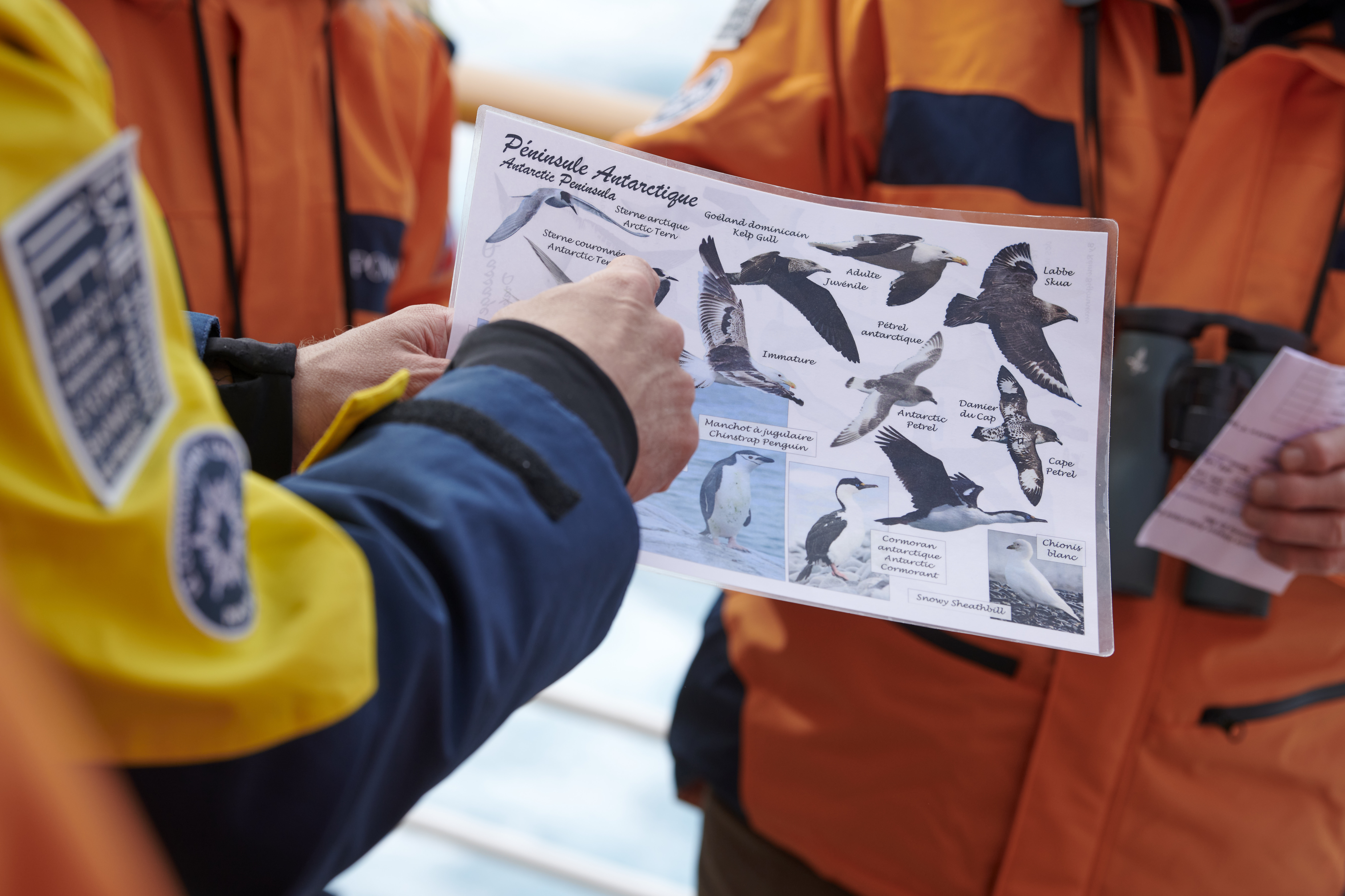 Deep Polar Exploration