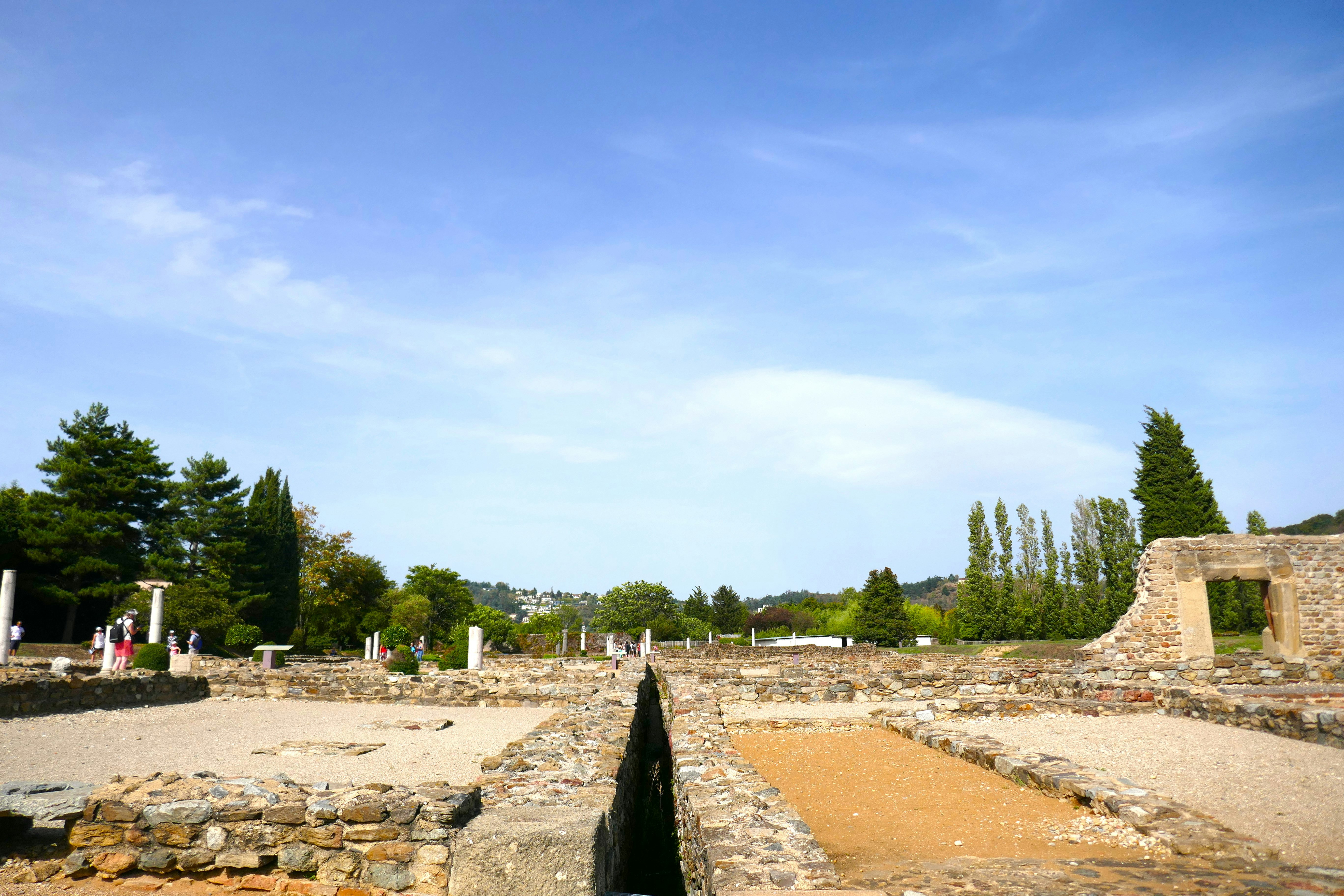 alexis ribeyre, Vienne