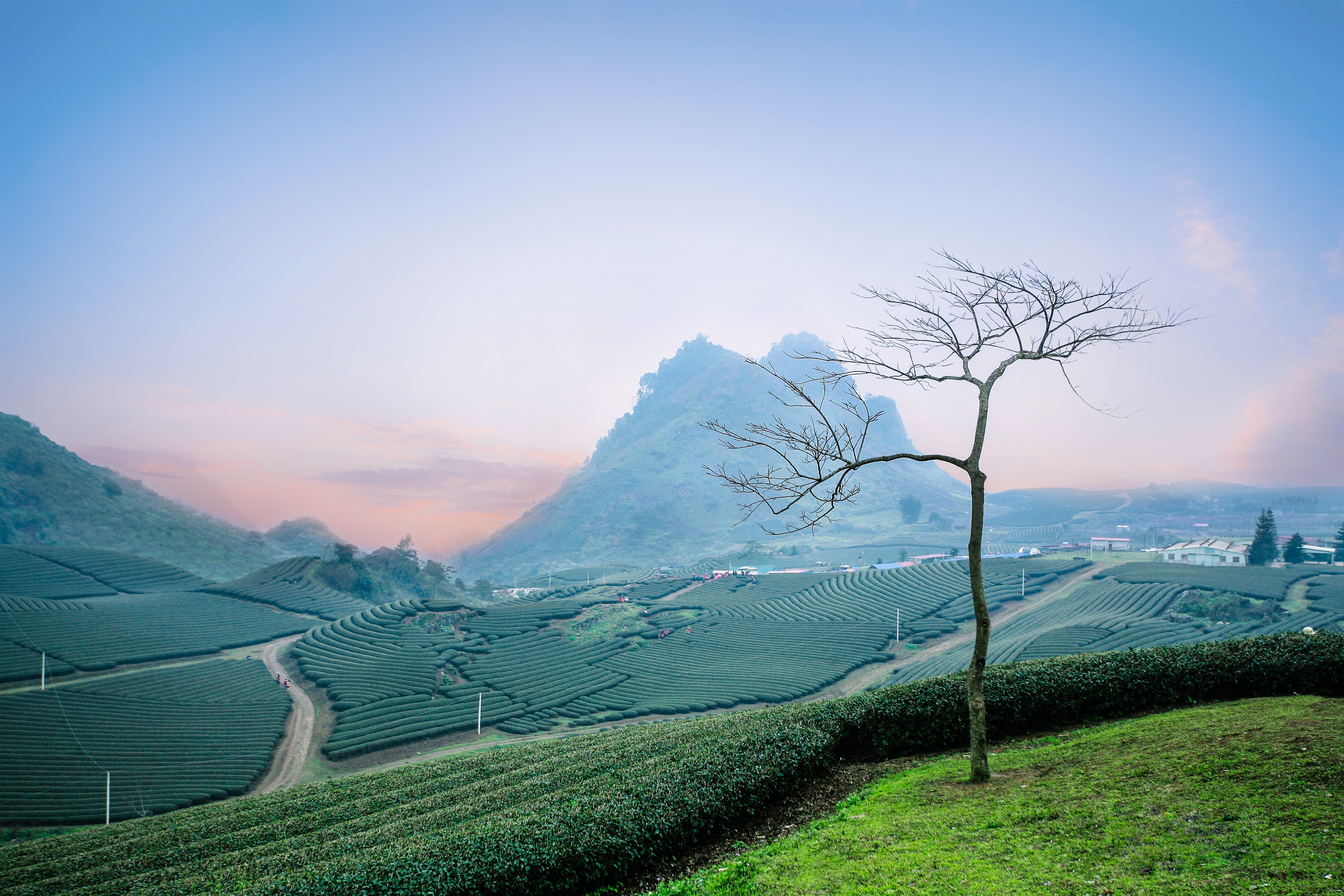 Best of Vietnam and Cambodia