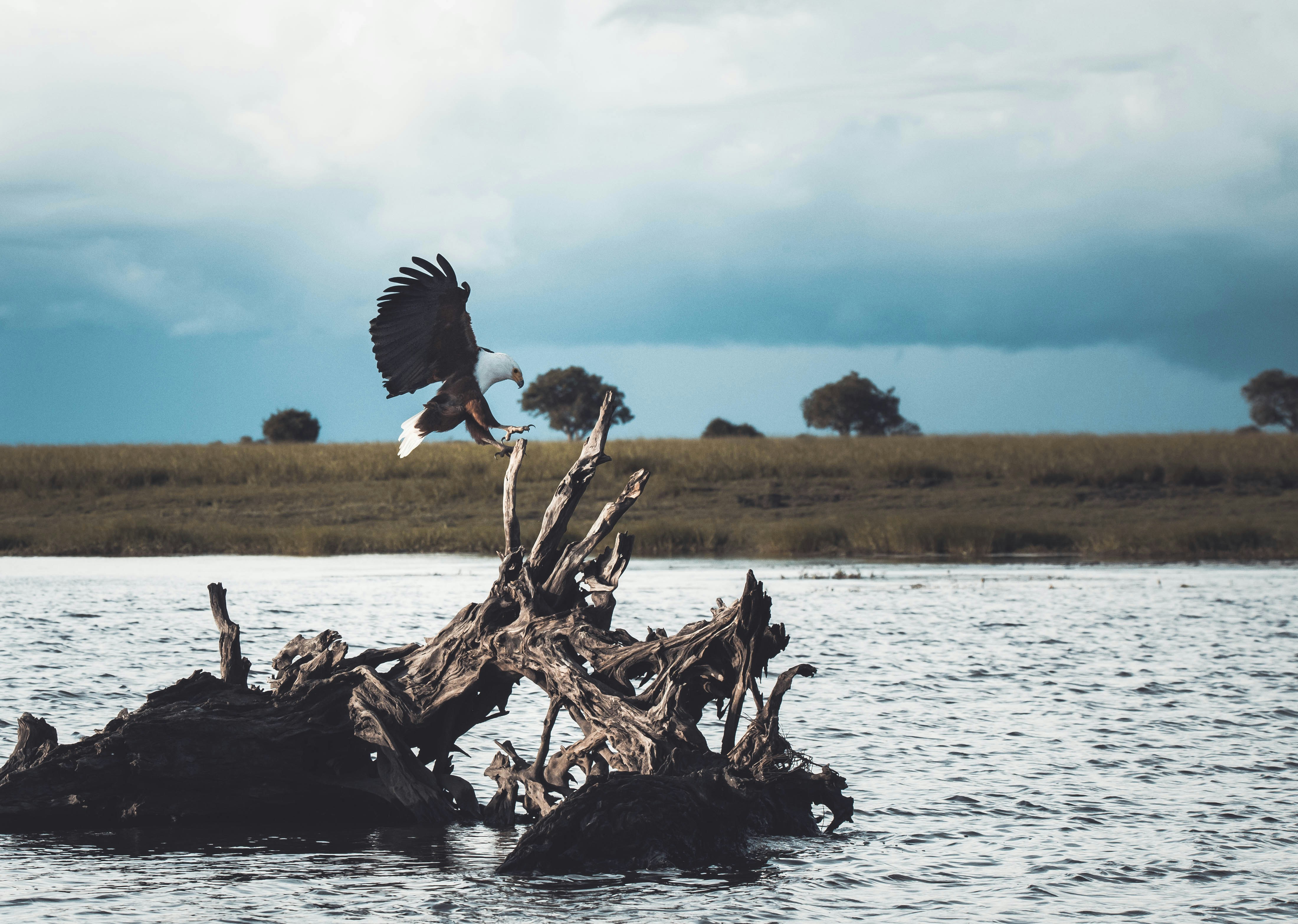 Chobe National Park