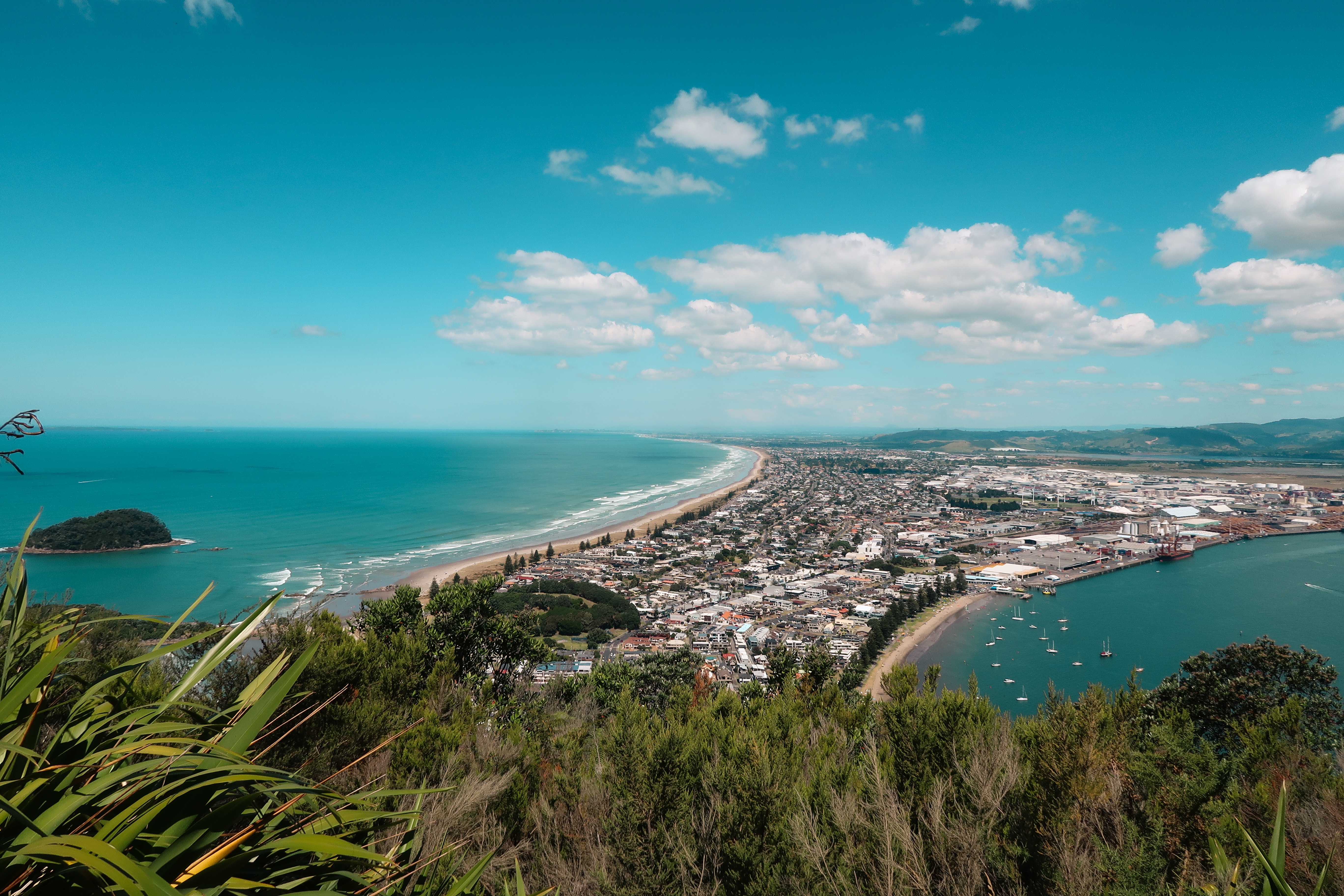Tauranga