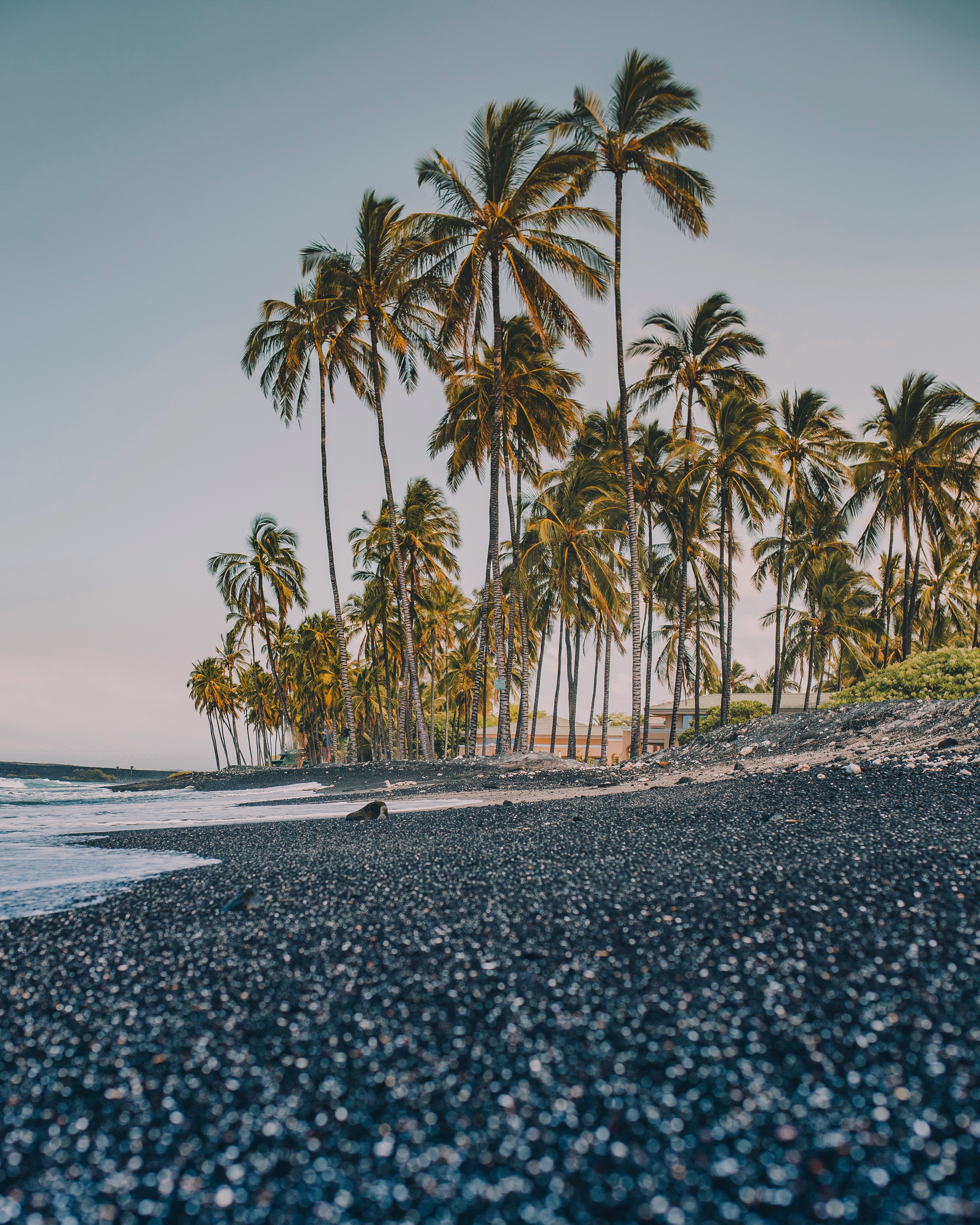 12 Night Hawaii Cruise