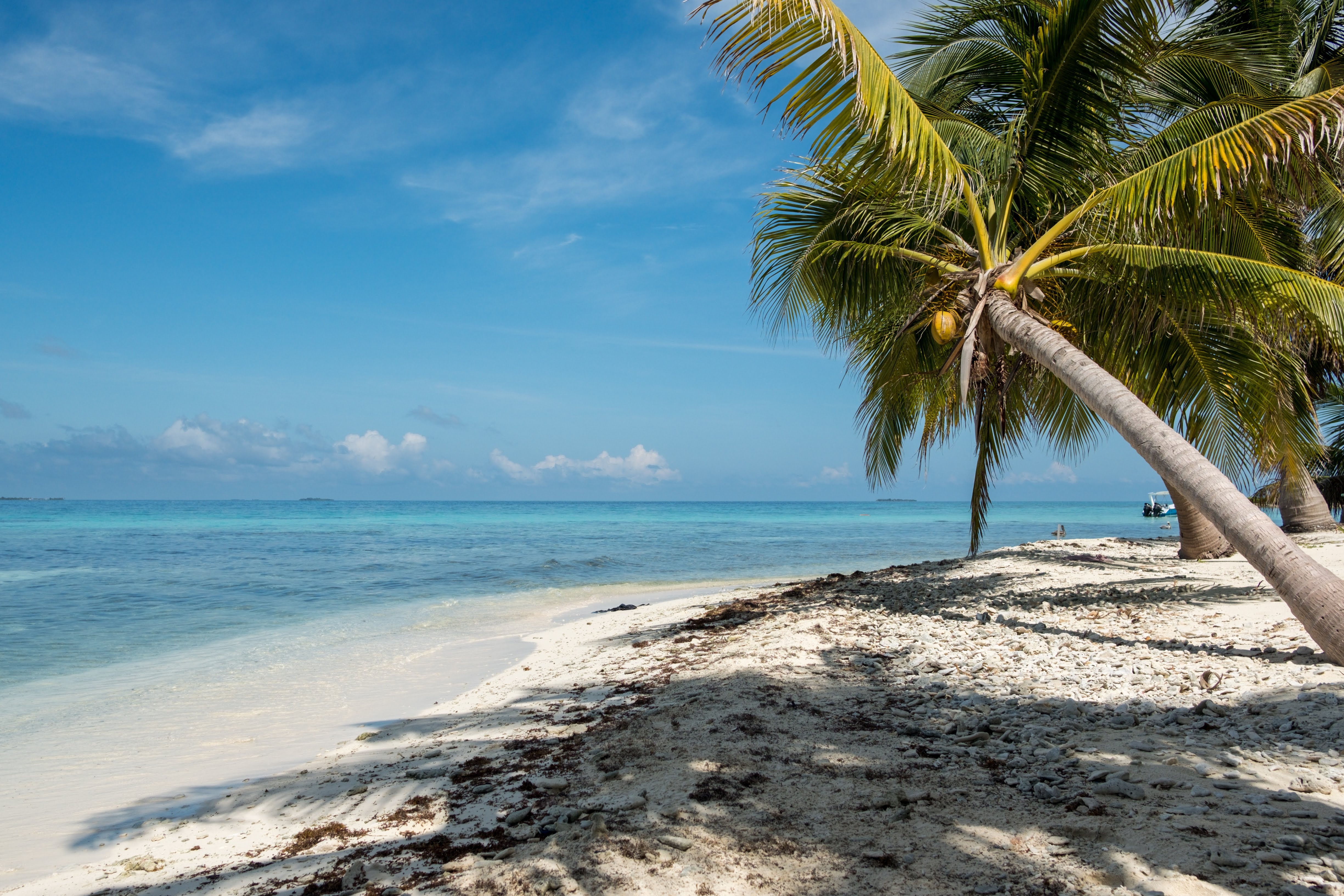 Crescent Beaches & Colorful Towns