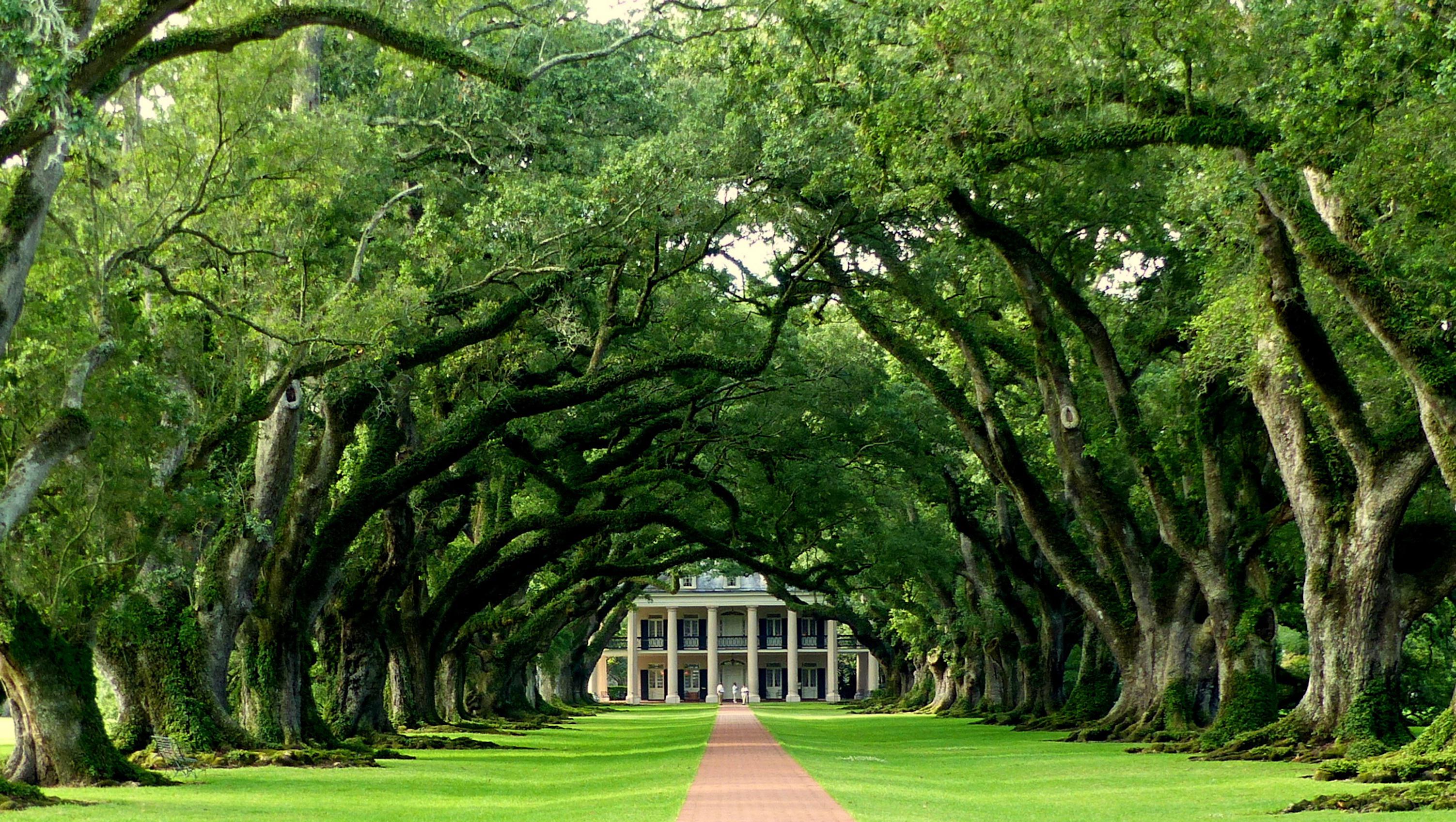 Oak Alley, Louisiana
