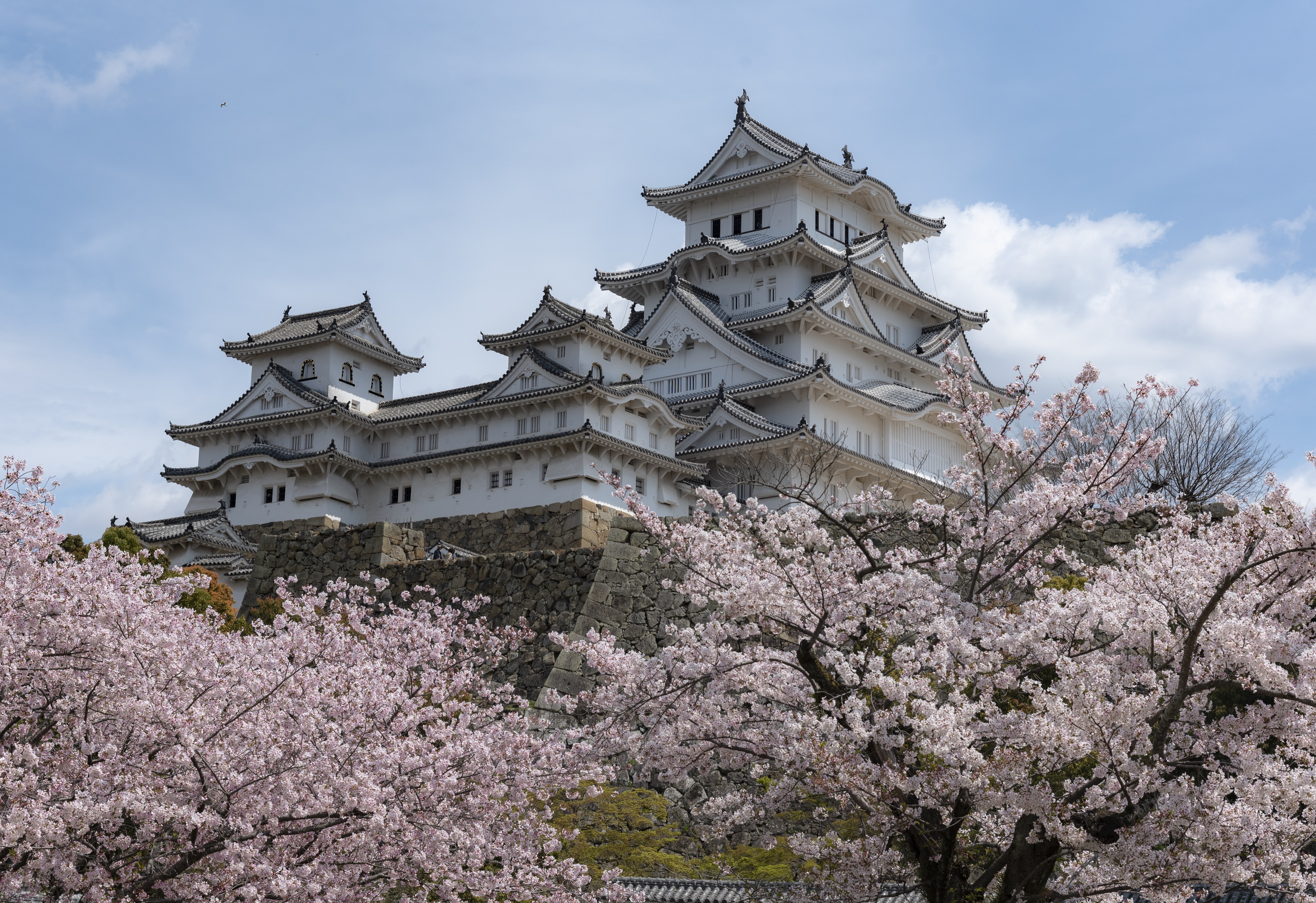 Japan Intensive Cruise: Tokyo, Kobe & Nagasaki