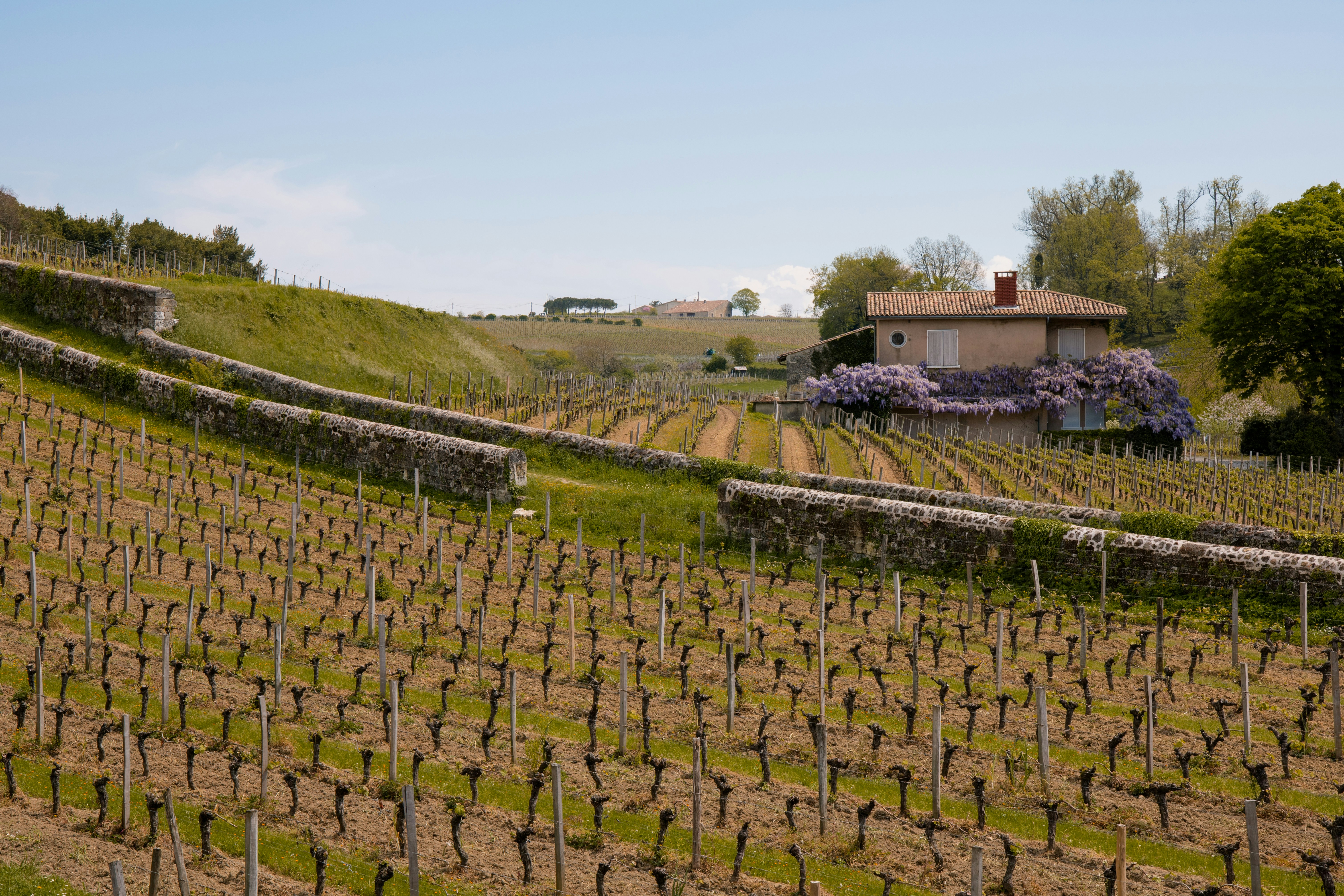 Chateaux, Rivers & Wine