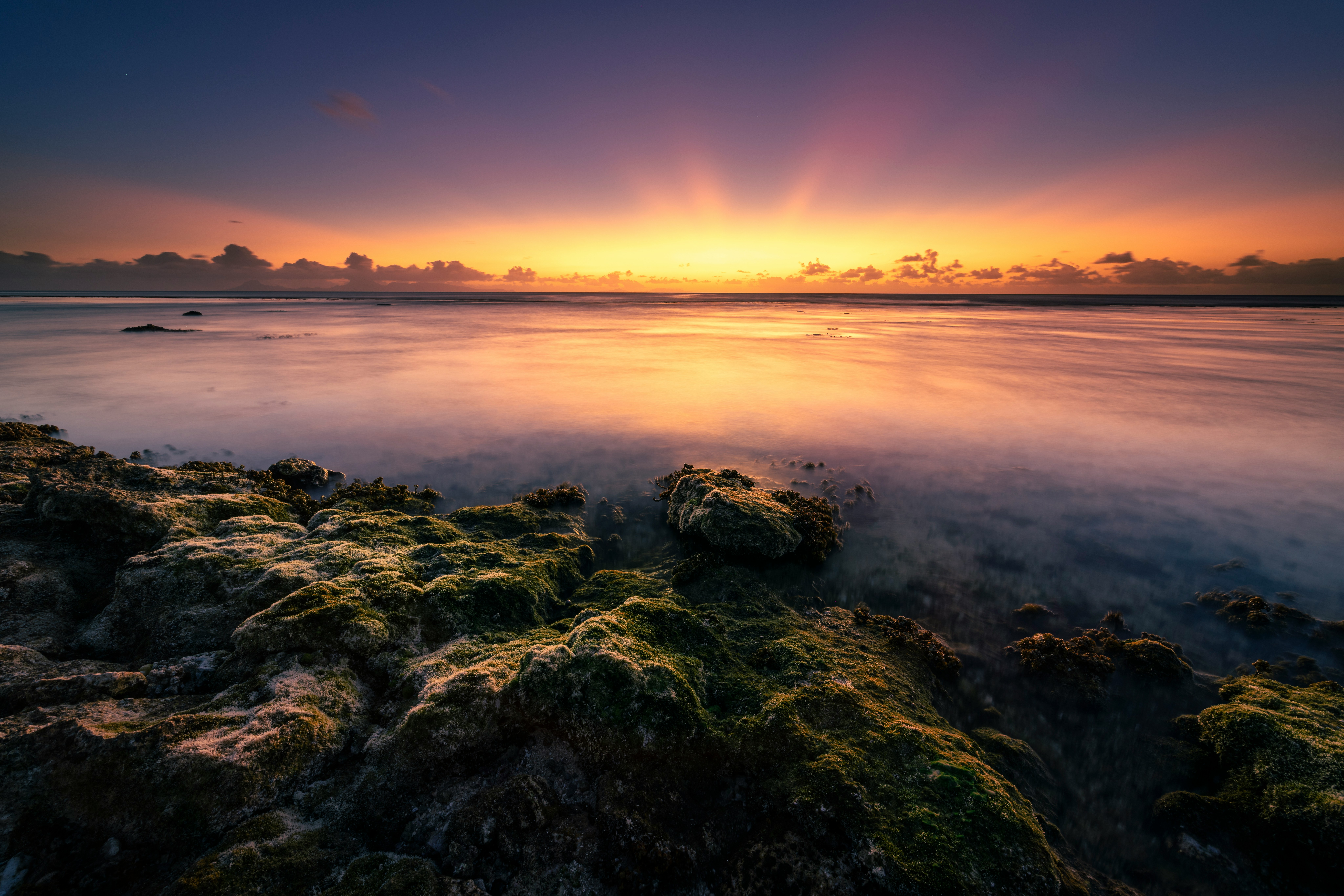 Pearls of the Society Islands