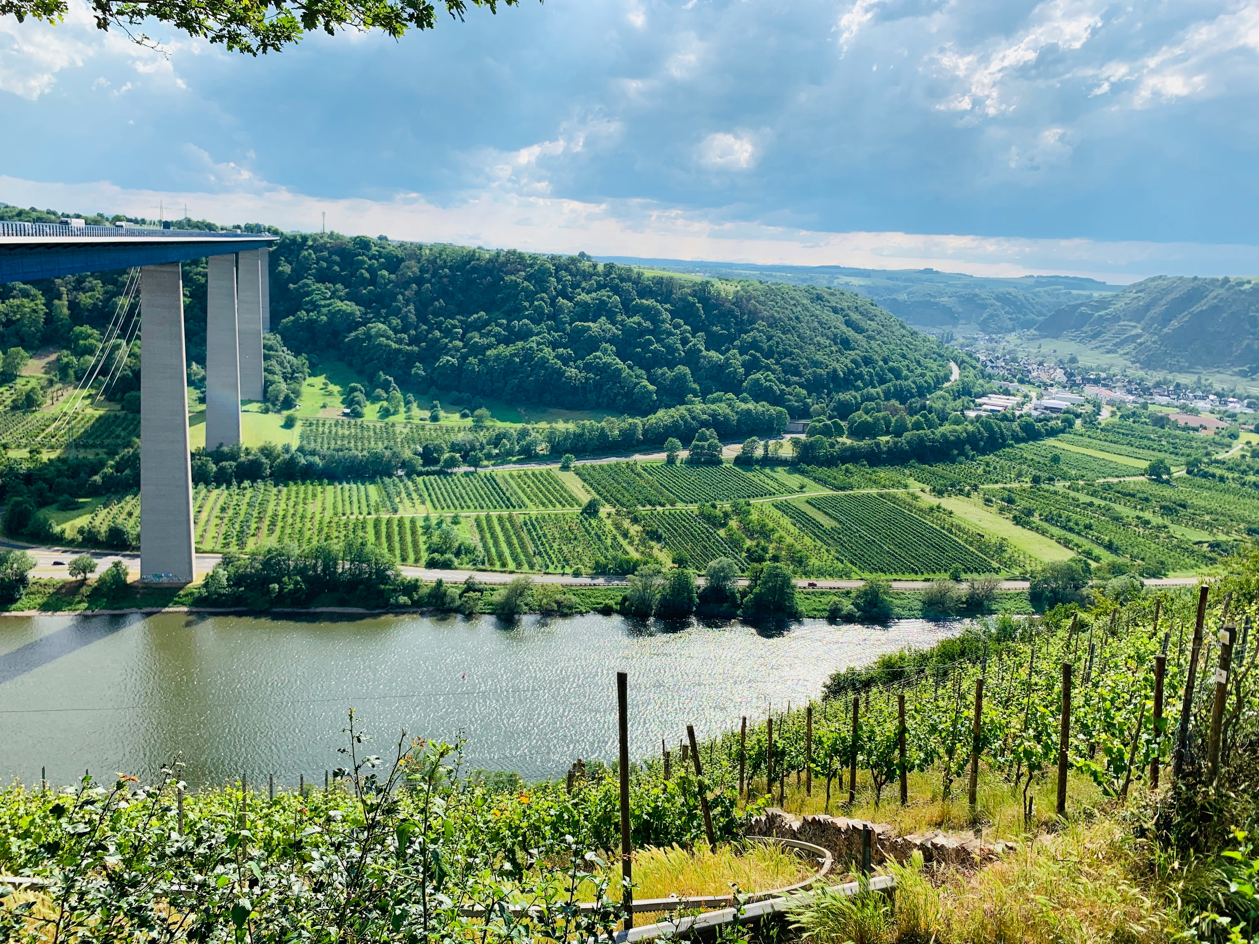 Rhine & Moselle Discovery