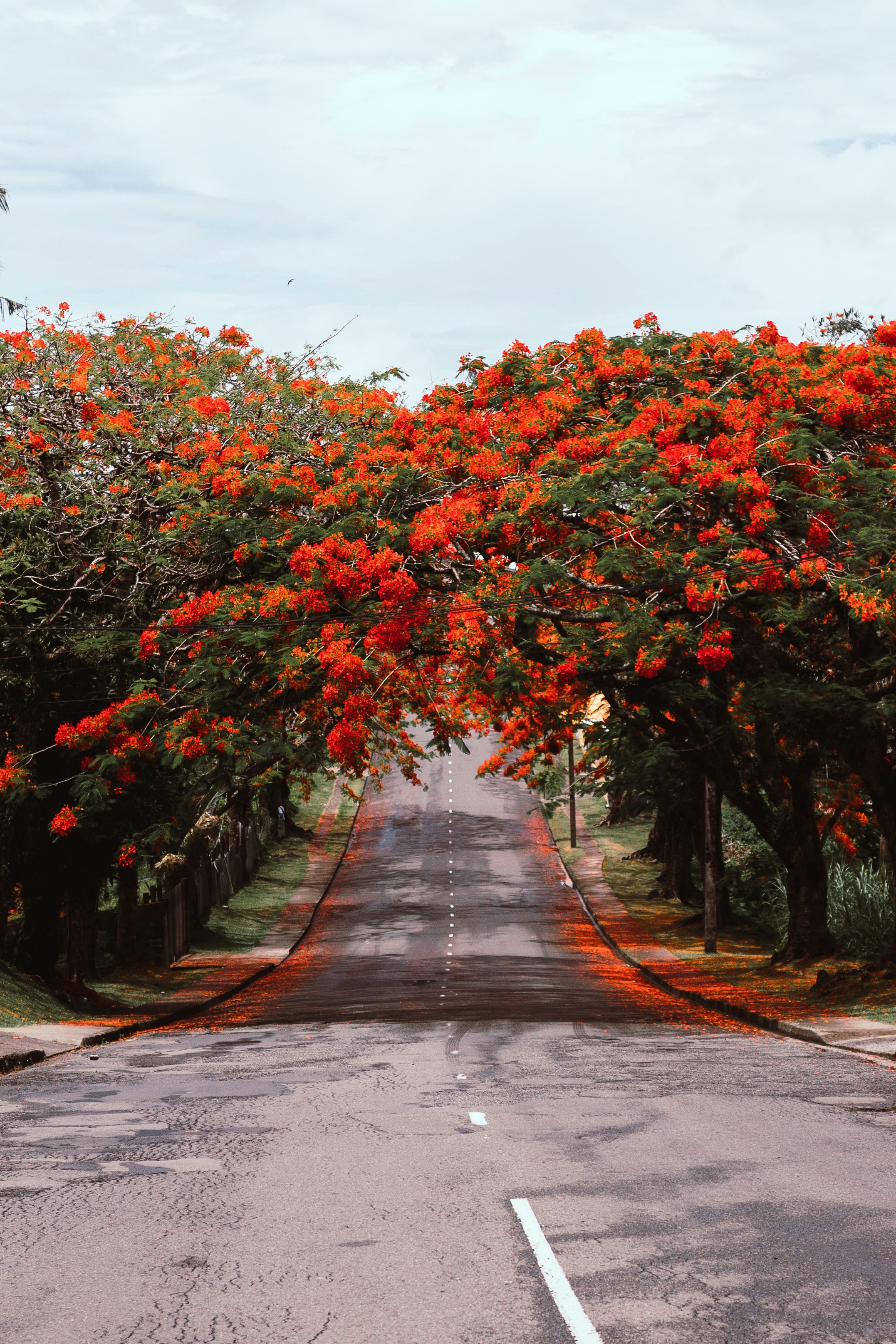 33-Day Tahiti, Hawaii & South Pacific