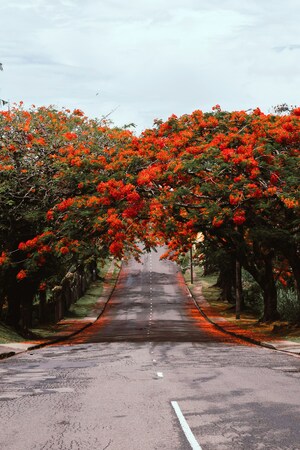 Suva