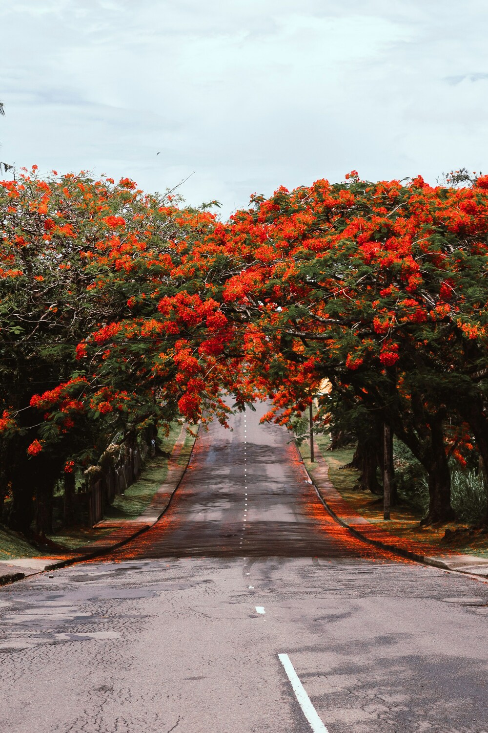 Suva