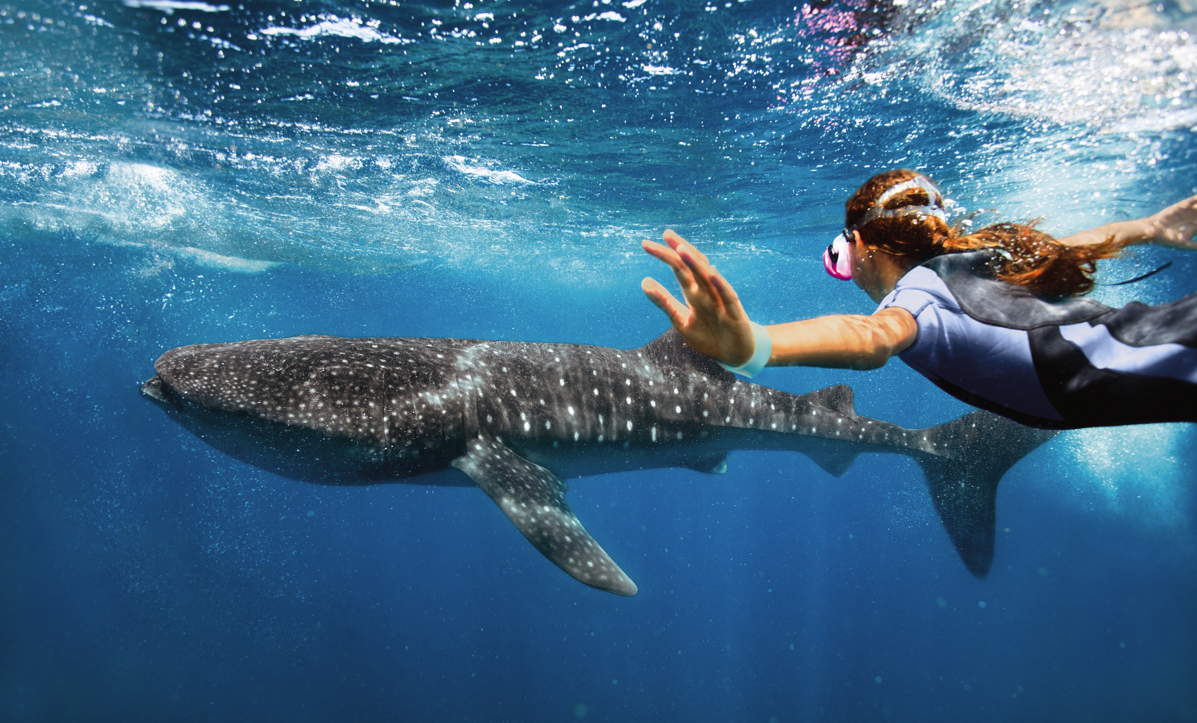 Rhapsody of the Seas: Snorkel Excursions