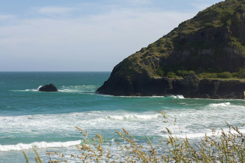 Dunedin