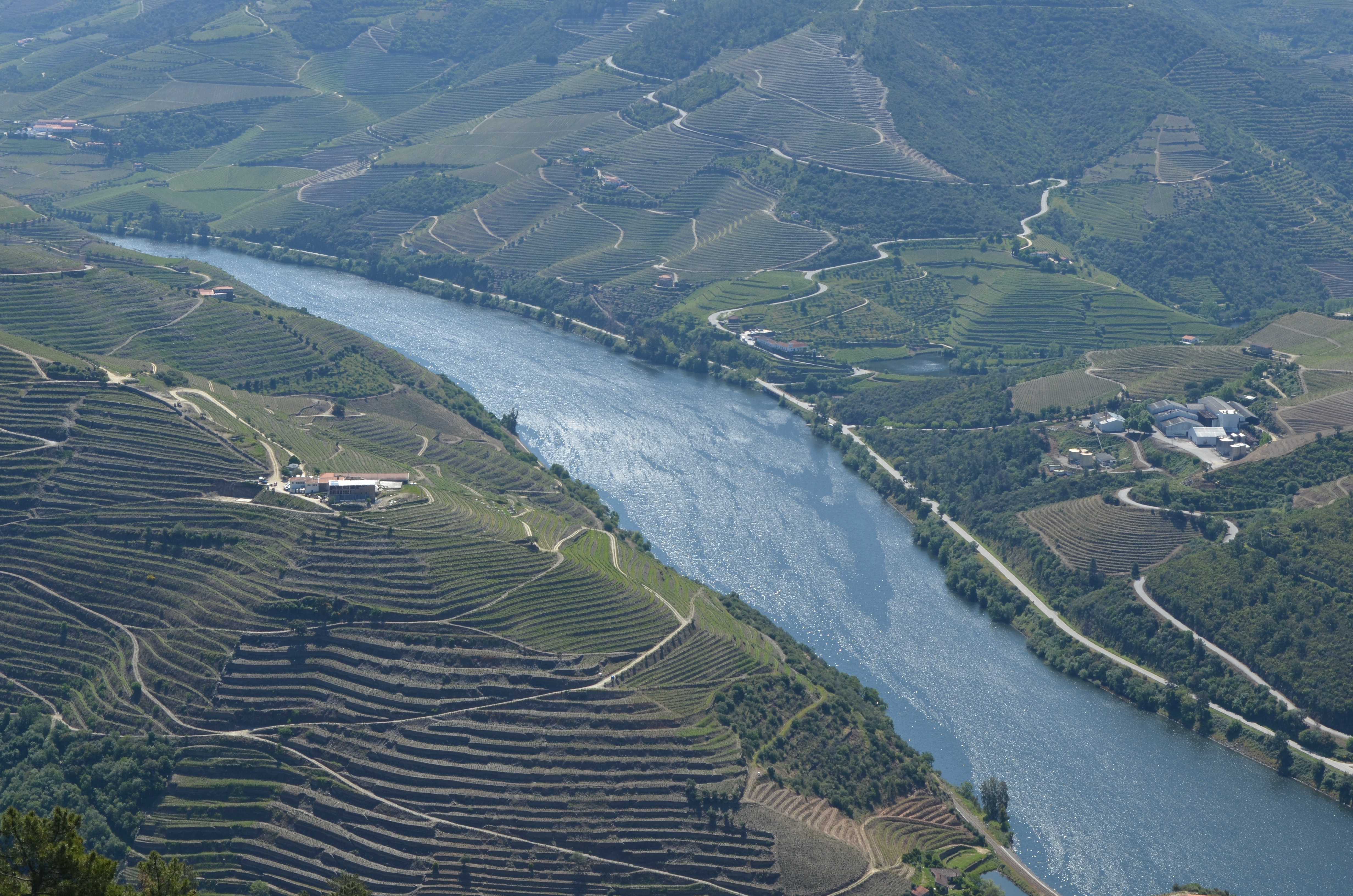Bitetos on the Douro River