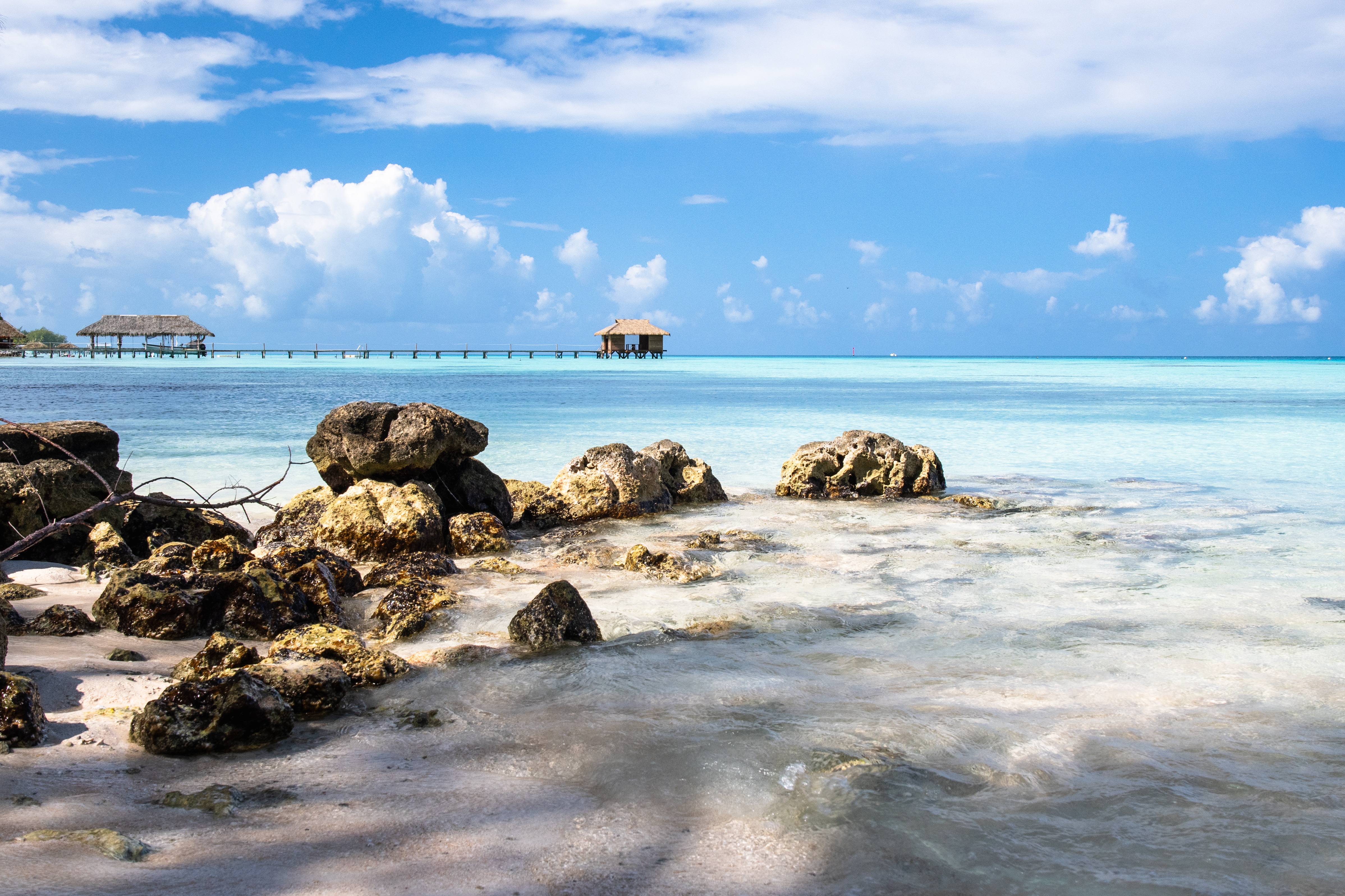 Society Islands & The Tuamotus