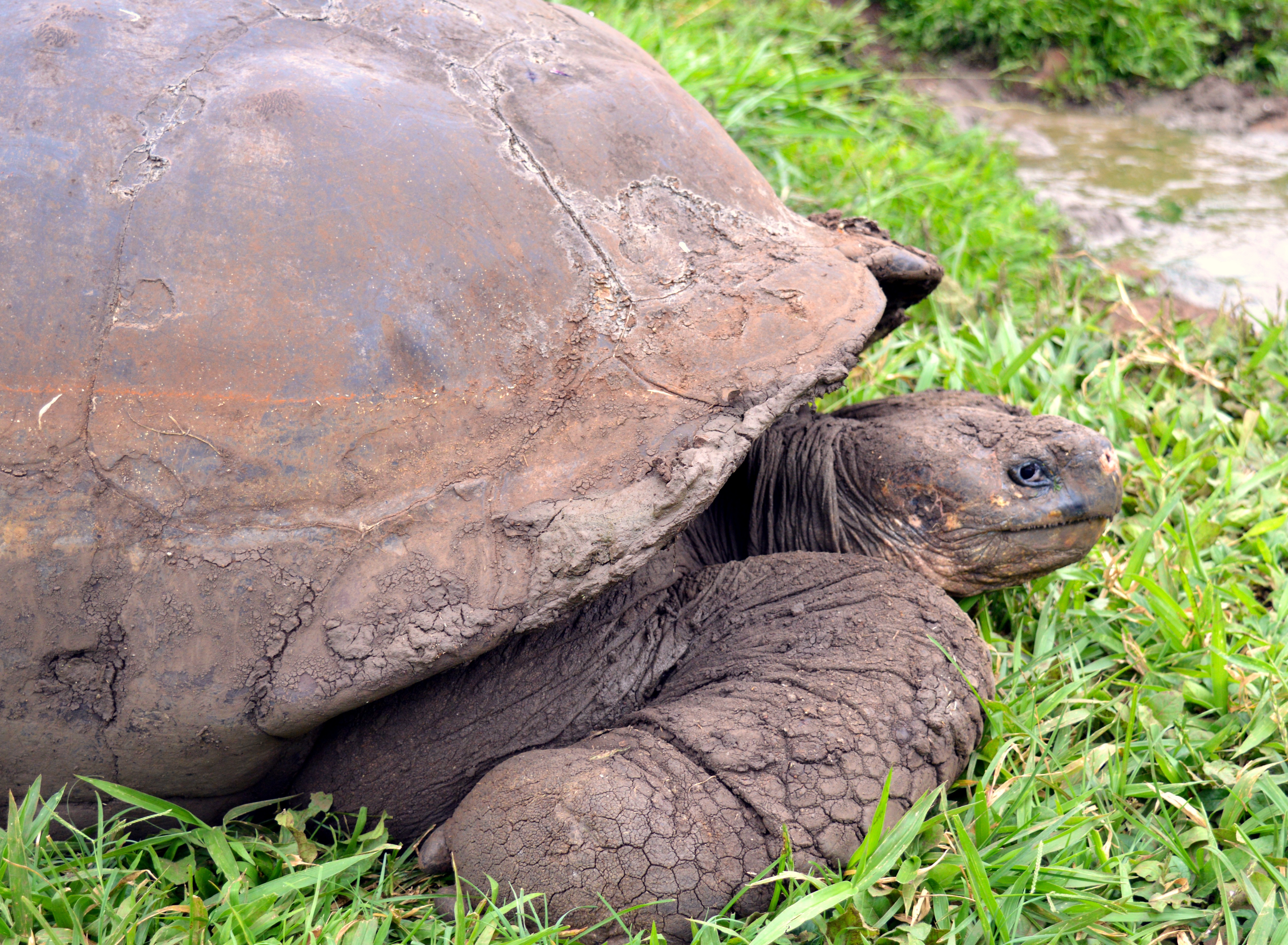 7 Night Galapagos Outer Loop Cruise