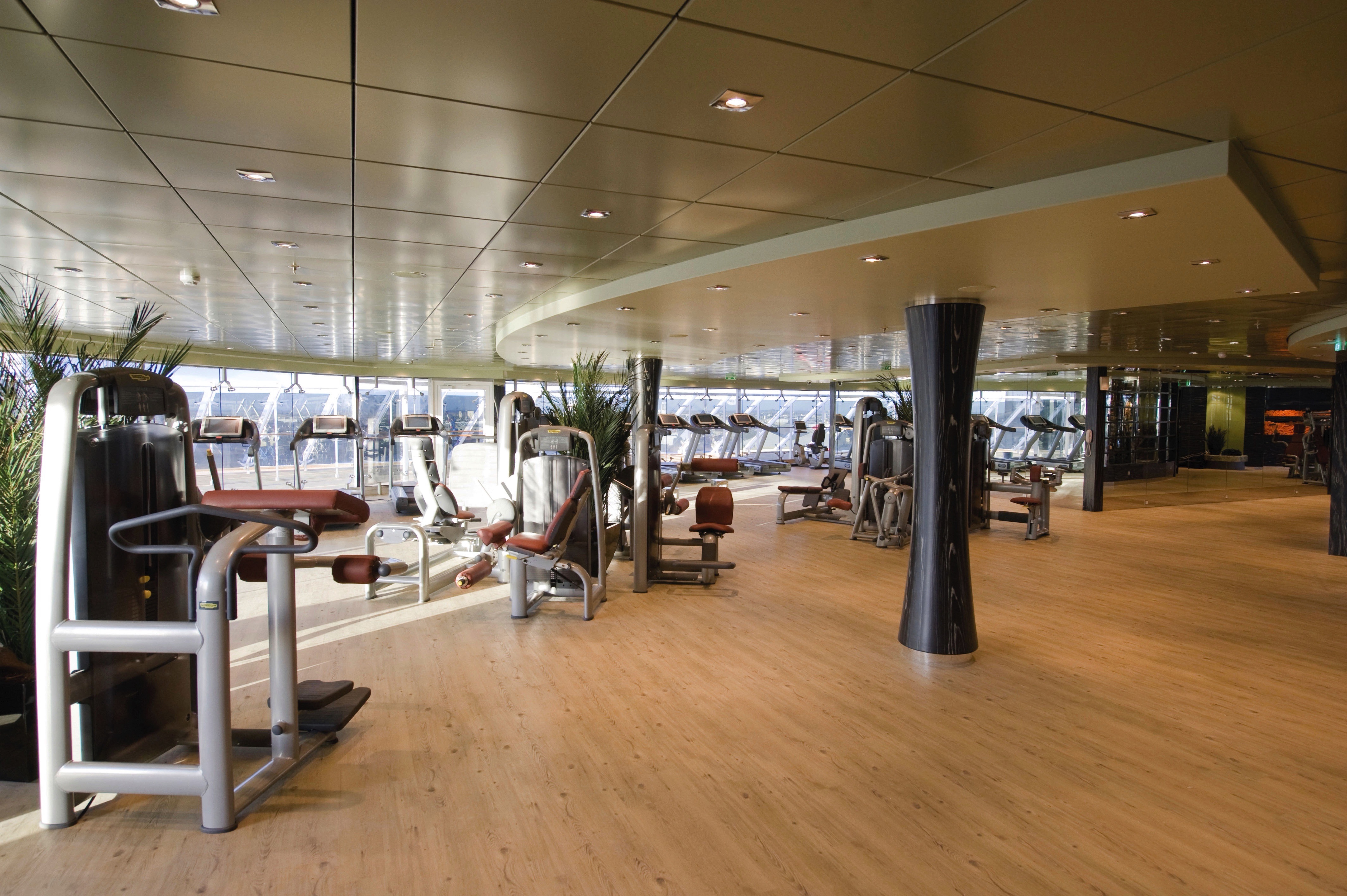 MSC Fantasia: Gym By TechnoGym®