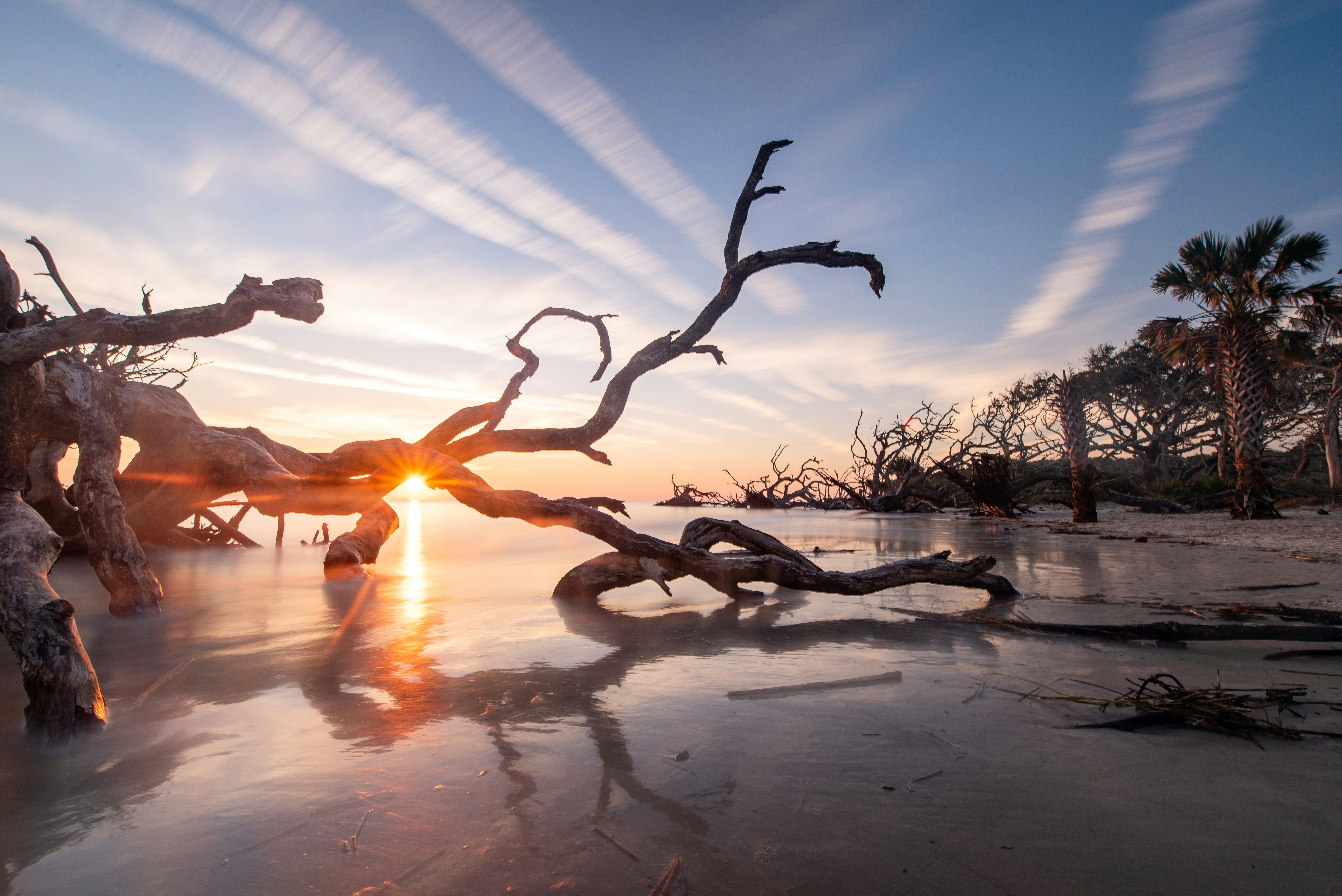 Driftwood Beach, Jekyll Island, GA, USA