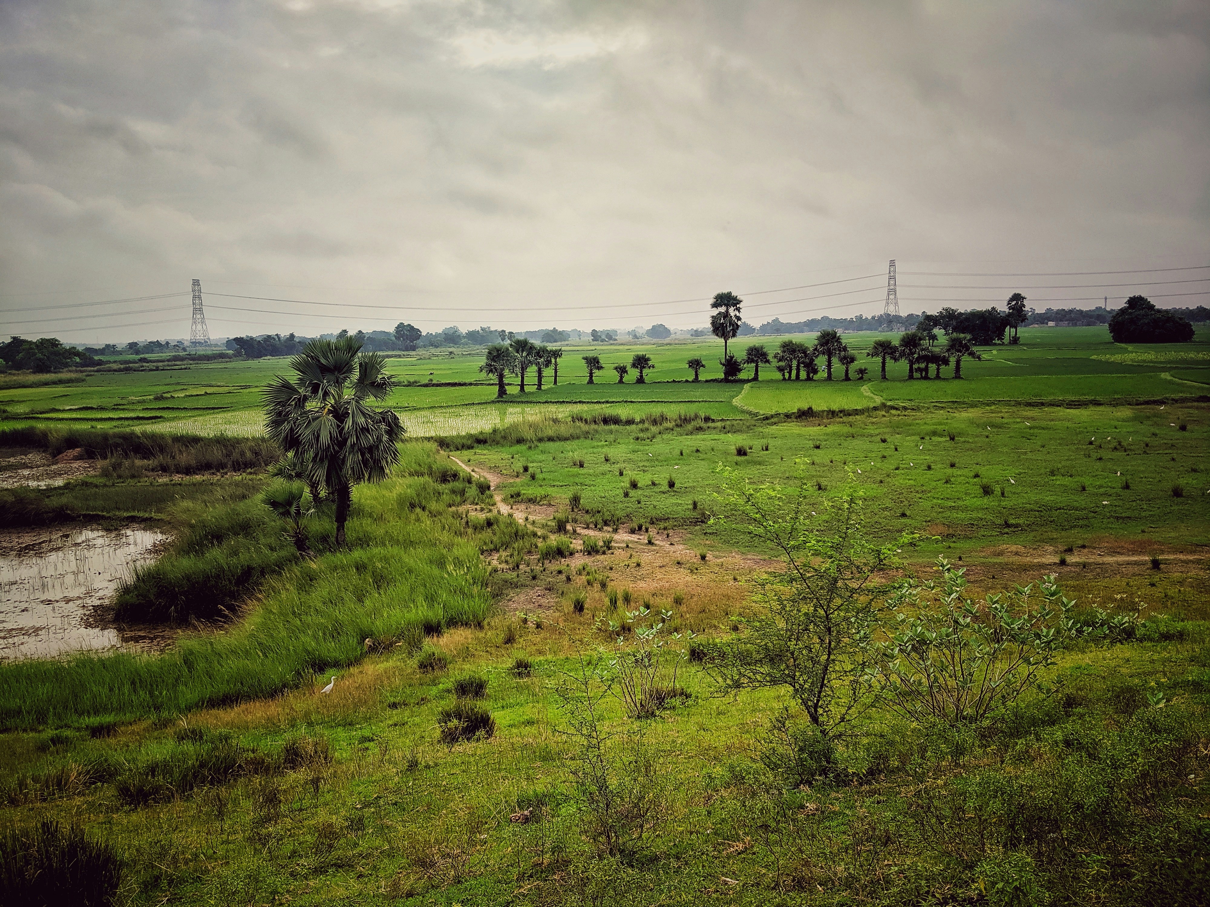 India's Golden Triangle & the Sacred Ganges