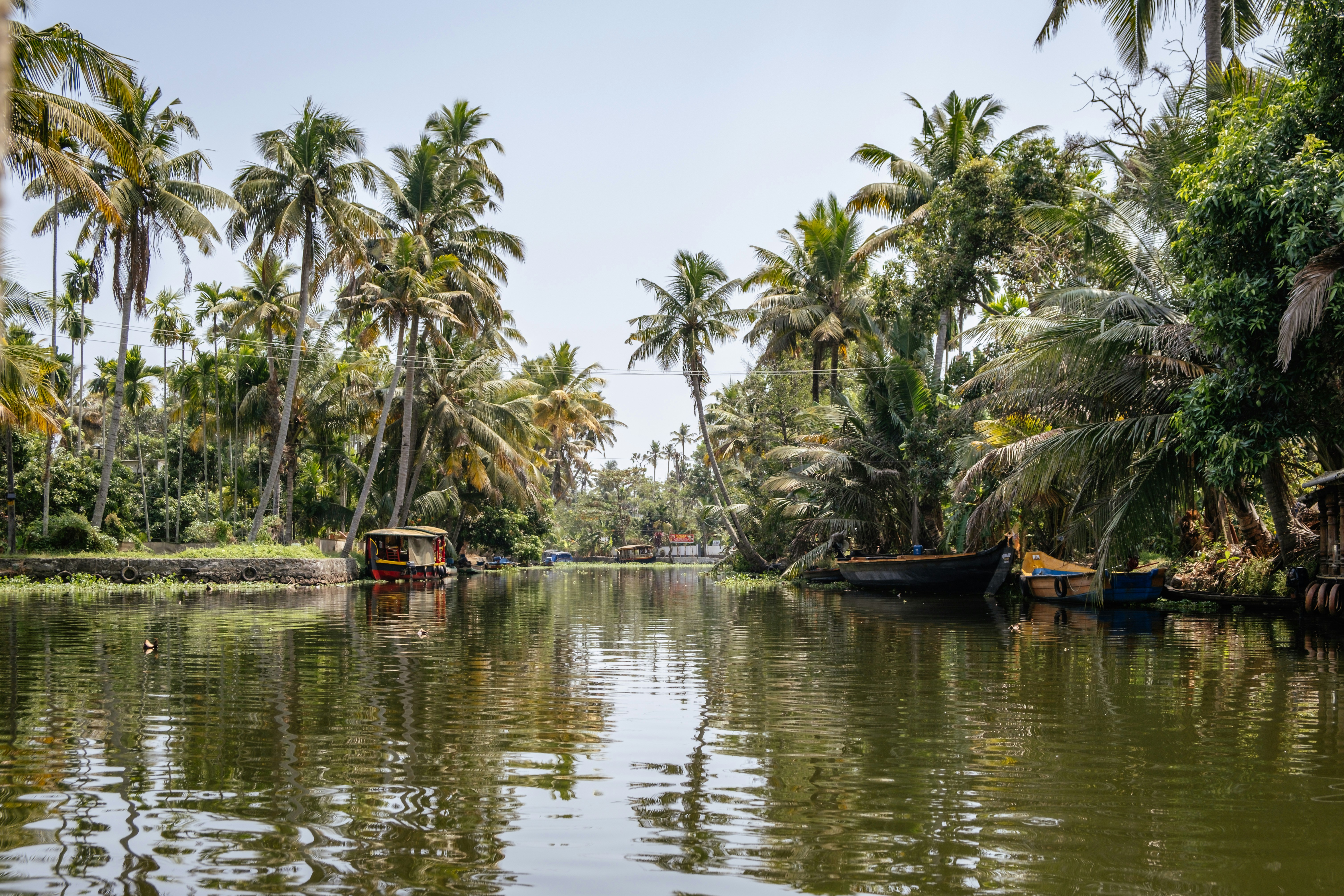 Alleppey Backwaters, Punnamada, Kottankulangara, Alappuzha, Kerala, India