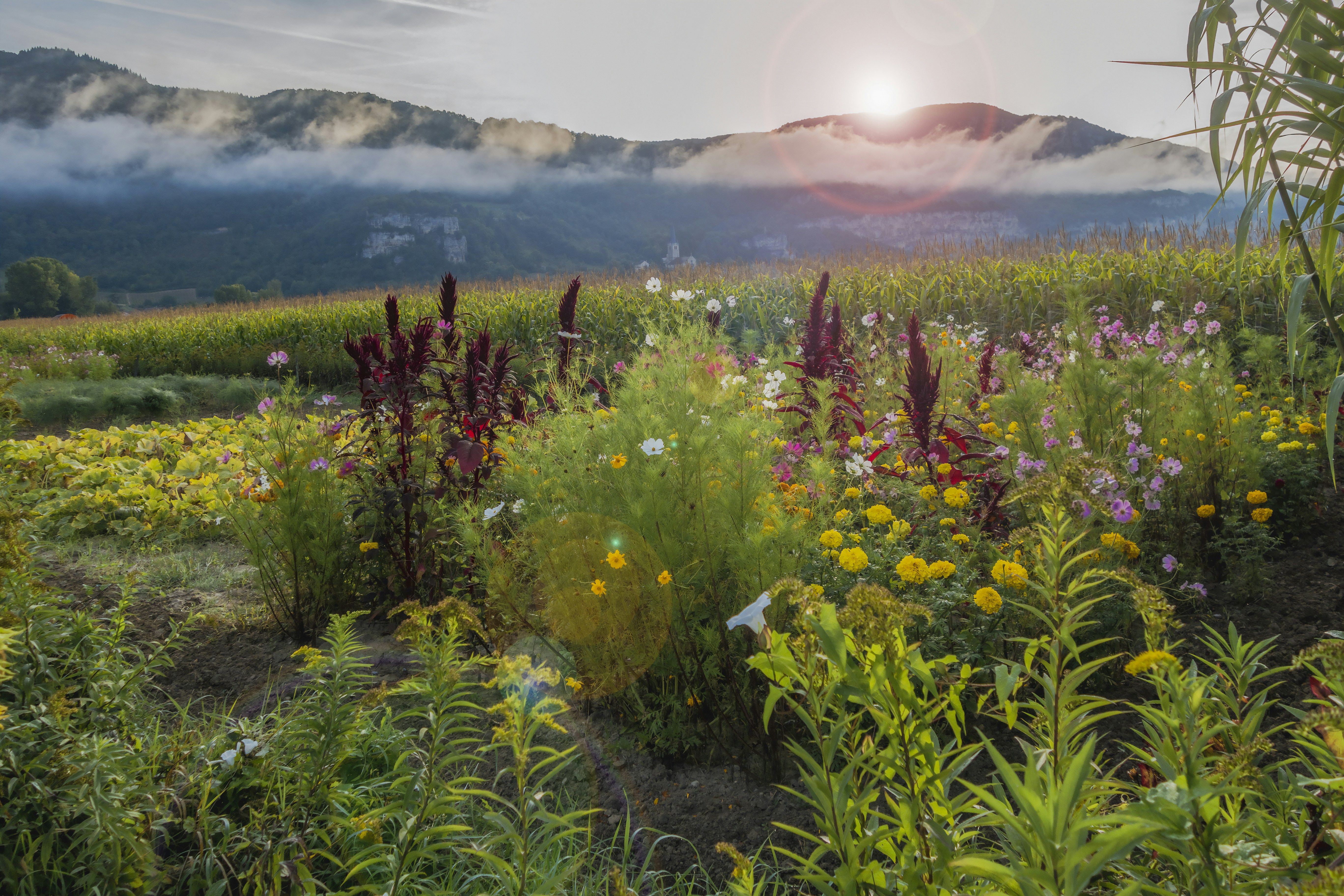 La Voulte-sur-Rhône, France