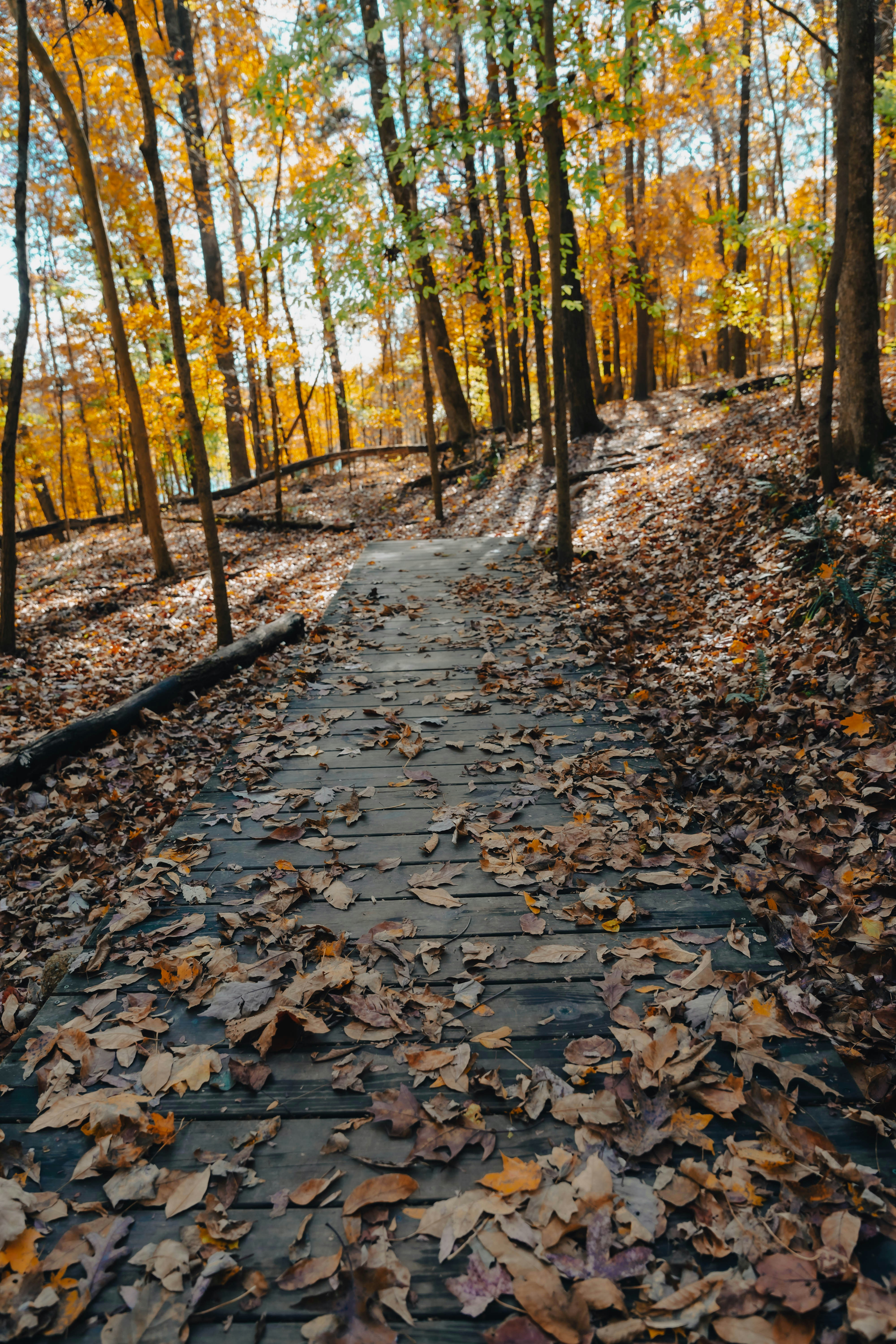 Clarksville, Tennessee, United States