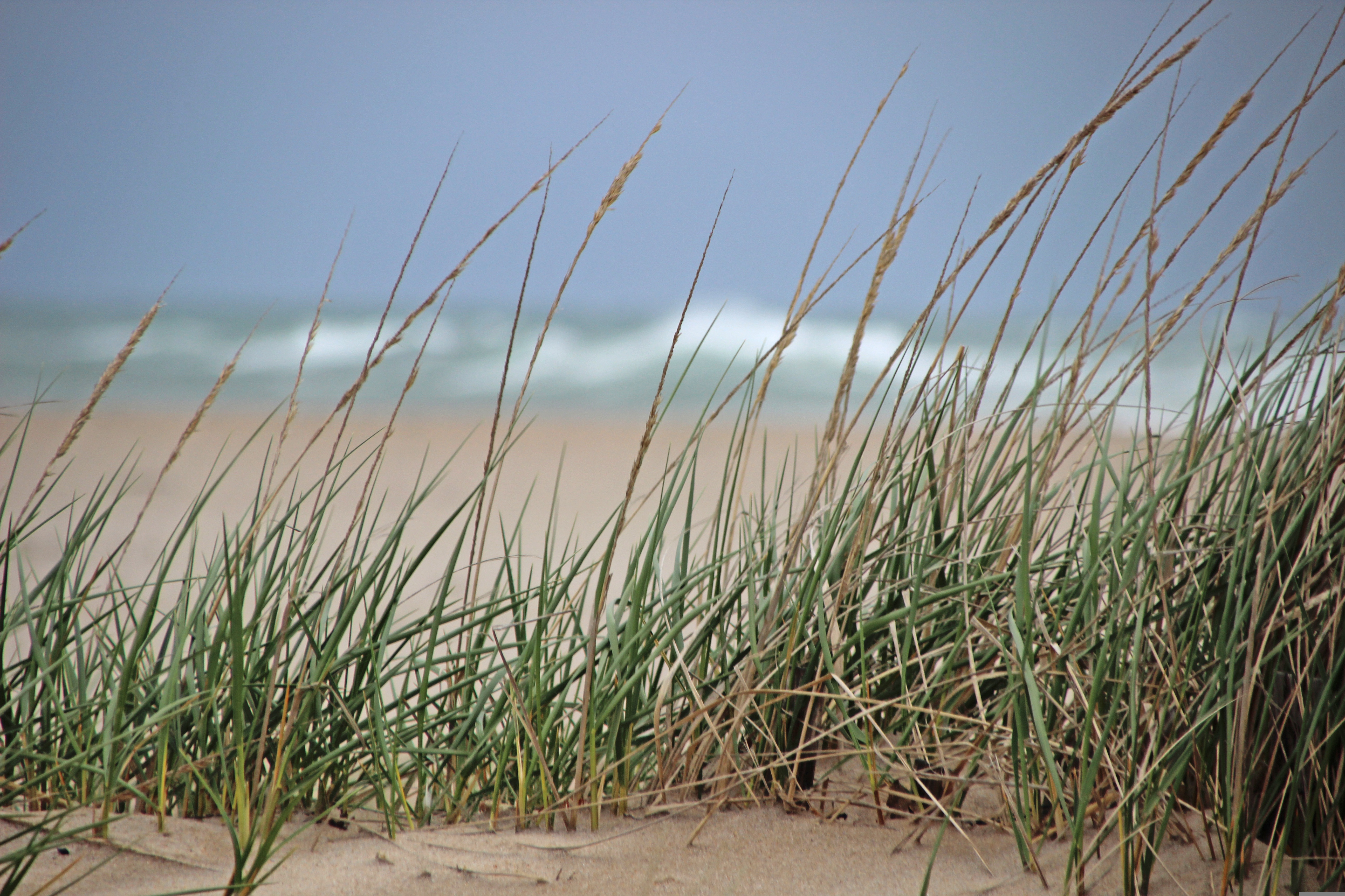 Bristol, Rhode Island, US