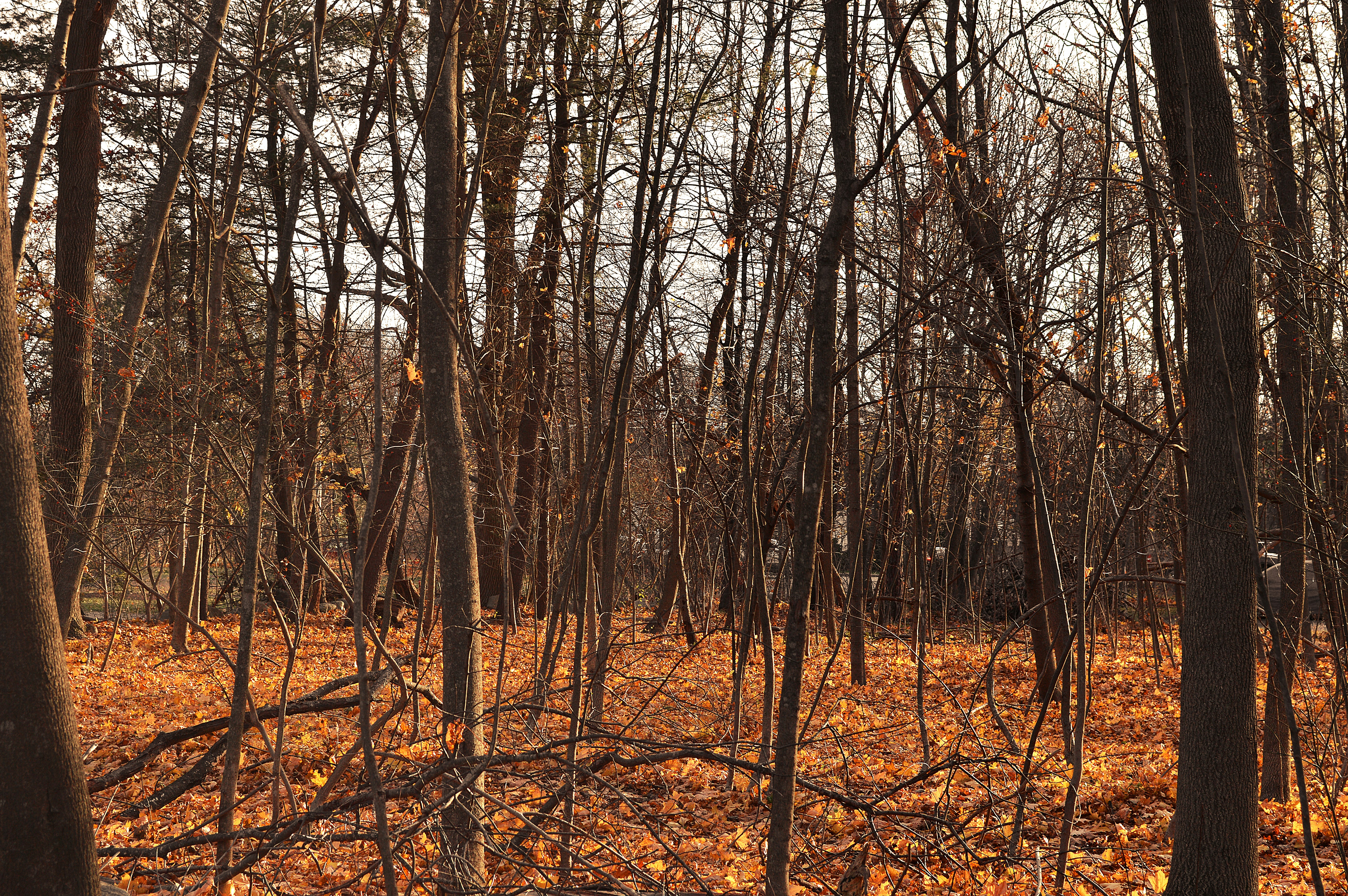 New Bedford, Massachusetts, US