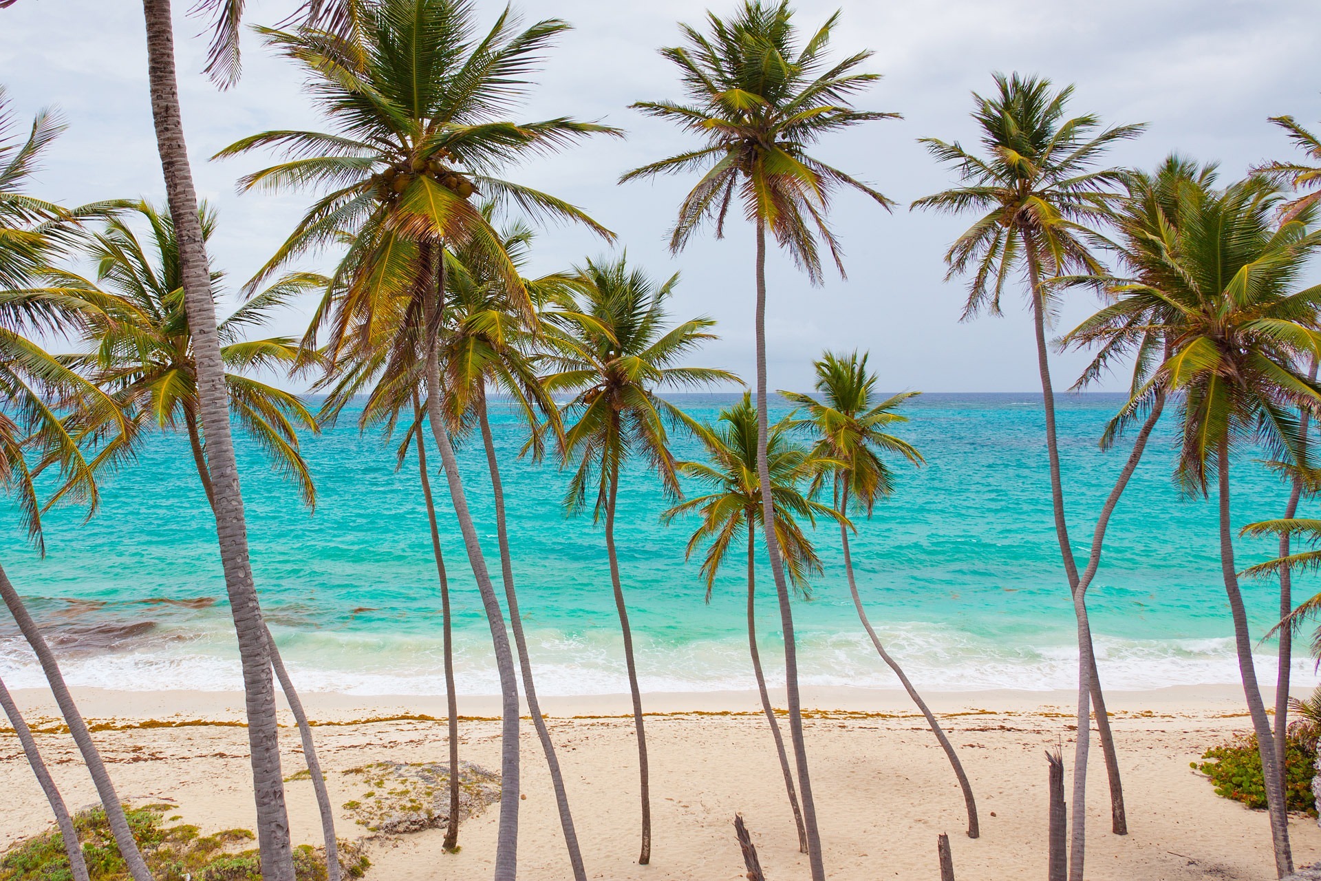 Saint John Island, U.S. Virgin Islands