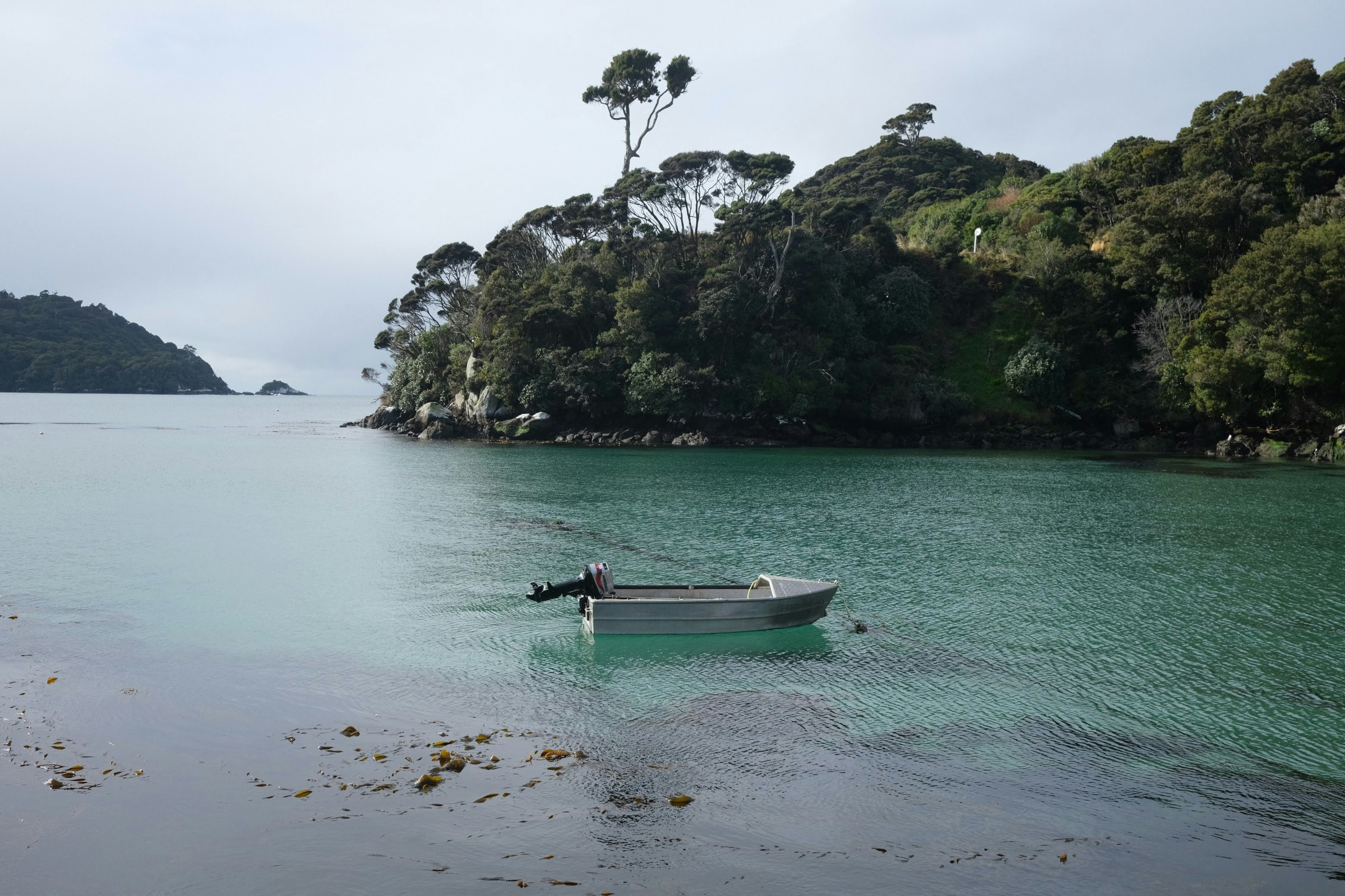 Oban, Stewart Island, New Zealand
